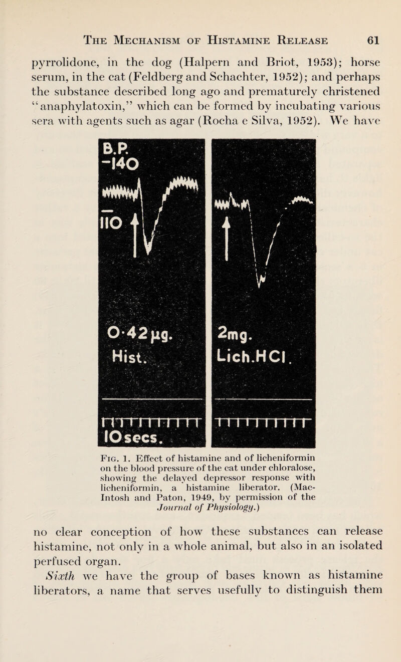 pyrrolidone, in the dog (Halpern and Briot, 1953); horse serum, in the cat (Feldbergand Schachter, 1952); and perhaps the substance described long ago and prematurely christened “anaphylatoxin,” which can be formed by incubating various sera with agents such as agar (Rocha e Silva, 1952). We have Fig. 1. Effect of histamine and of licheniformin on the blood pressure of the cat under chloralose, showing the delayed depressor response with licheniformin, a histamine liberator. (Mac¬ intosh and Pat.on, 1949, by permission of the Journal of Physiology.) no clear conception of how these substances can release histamine, not only in a whole animal, but also in an isolated perfused organ. Sixth we have the group of bases known as histamine liberators, a name that serves usefully to distinguish them
