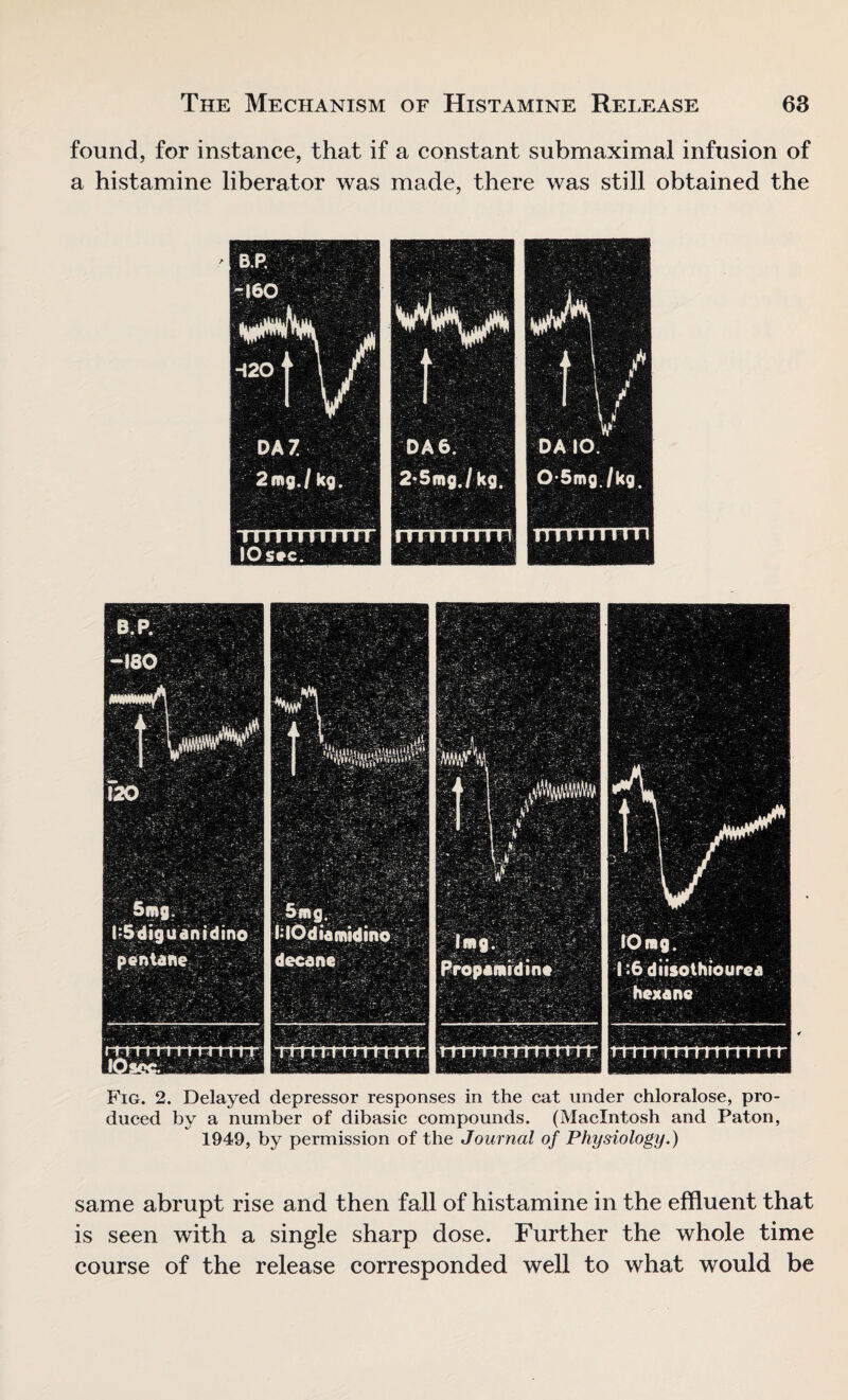 found, for instance, that if a constant submaximal infusion of a histamine liberator was made, there was still obtained the l;5diguanidino pentane t Fig. 2. Delayed depressor responses in the cat under chloralose, pro¬ duced by a number of dibasic compounds. (Macintosh and Paton, 1949, by permission of the Journal of Physiology.) same abrupt rise and then fall of histamine in the effluent that is seen with a single sharp dose. Further the whole time course of the release corresponded well to what would be