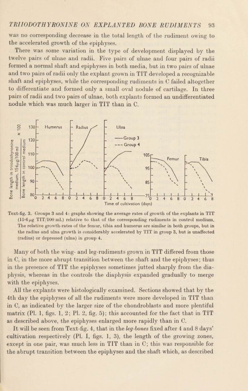 was no corresponding decrease in the total length of the rudiment owing to the accelerated growth of the epiphyses. There was some variation in the type of development displayed by the twelve pairs of ulnae and radii. Five pairs of ulnae and four pairs of radii formed a normal shaft and epiphyses in both media, but in two pairs of ulnae and two pairs of radii only the explant grown in TIT developed a recognizable shaft and epiphyses, while the corresponding rudiments in C failed altogether to differentiate and formed only a small oval nodule of cartilage. In three pairs of radii and two pairs of ulnae, both explants formed an undifferentiated nodule which was much larger in TIT than in C. Text-fig. 3. Groups 3 and 4: graphs showing the average rates of growth of the explants in TIT (15-6/Ltg TIT/100 ml.) relative to that of the corresponding rudiments in control medium. The relative growth-rates of the femur, tibia and humerus are similar in both groups, but in the radius and ulna growth is considerably accelerated by TIT in group 3, but is unaffected (radius) or depressed (ulna) in group 4. Many of both the wing- and leg-rudiments grown in TIT differed from those in C, in the more abrupt transition between the shaft and the epiphyses; thus in the presence of TIT the epiphyses sometimes jutted sharply from the dia- physis, whereas in the controls the diaphysis expanded gradually to merge with the epiphyses. All the explants were histologically examined. Sections showed that by the 4th day the epiphyses of all the rudiments were more developed in TIT than in C, as indicated by the larger size of the chondroblasts and more plentiful matrix (PI. 1, figs. 1, 2; PL 2, fig. 5); this accounted for the fact that in TIT as described above, the epiphyses enlarged more rapidly than in C. It will be seen from Text-fig. 4, that in the leg-bones fixed after 4 and 8 days’ cultivation respectively (PI. I, figs. 1, 3), the length of the growing zones, except in one pair, was much less in TIT than in C; this was responsible for the abrupt transition between the epiphyses and the shaft which, as described