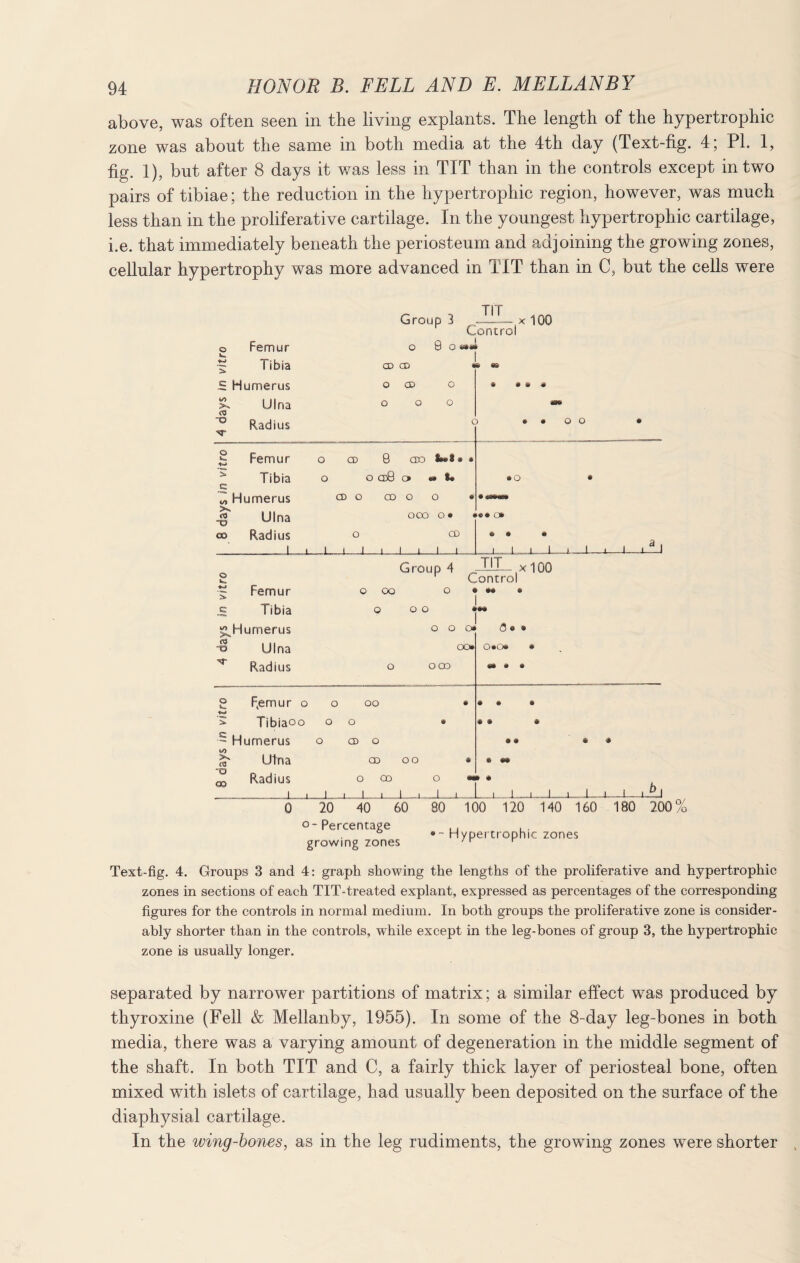 above, was often seen in the living explants. The length of the hypertrophic zone was about the same in both media at the 4th day (Text-fig. 4; PI. 1, fig. 1), but after 8 days it was less in TIT than in the controls except in two pairs of tibiae; the reduction in the hypertrophic region, however, was much less than in the proliferative cartilage. In the youngest hypertrophic cartilage, i.e. that immediately beneath the periosteum and adjoining the growing zones, cellular hypertrophy was more advanced in TIT than in C, but the cells were TIT Group 3 ,x 100 © Femur y Tibia S Humerus Ulna ius C9 O CD CD O CD o o Control i G I «K «» o o o * • o o Femur Tibia >*,. Humerus Ulna ius O CD 8 033 t*»S a * O o CD0 Ot ** U CD O CD O O * *o OOO O • C3» o I I I I I CD I i l i I i-L .-i. i-—I-1 ~ Femur S Tibia Humerus Ulna ^ Radius Group 4 -ILL- x 100 Control o oo o # ** * I o o o «j*» ooo* (3 • • s oo* o O CD Femur o o W •W S Tibiaoo o s oo €9 'O Humerus Utna ius oo o « CD O CD OO O CD O 0*0* * m * * » « * • 8 « » •» * • ■ I ■ I ■ I =L, L 20 40 6( o~ Percentage growing zones 80 100 120 140 1 •- Hypertrophic zones Text-fig. 4. Groups 3 and 4: graph showing the lengths of the proliferative and hypertrophic zones in sections of each TIT-treated explant, expressed as percentages of the corresponding figures for the controls in normal medium. In both groups the proliferative zone is consider¬ ably shorter than in the controls, while except in the leg-bones of group 3, the hypertrophic zone is usually longer. separated by narrower partitions of matrix; a similar effect was produced by thyroxine (Fell & Mellanby, 1955). In some of the 8-day leg-bones in both media, there was a varying amount of degeneration in the middle segment of the shaft. In both TIT and C, a fairly thick layer of periosteal bone, often mixed with islets of cartilage, had usually been deposited on the surface of the diaphysial cartilage. In the wing-bones, as in the leg rudiments, the growing zones were shorter