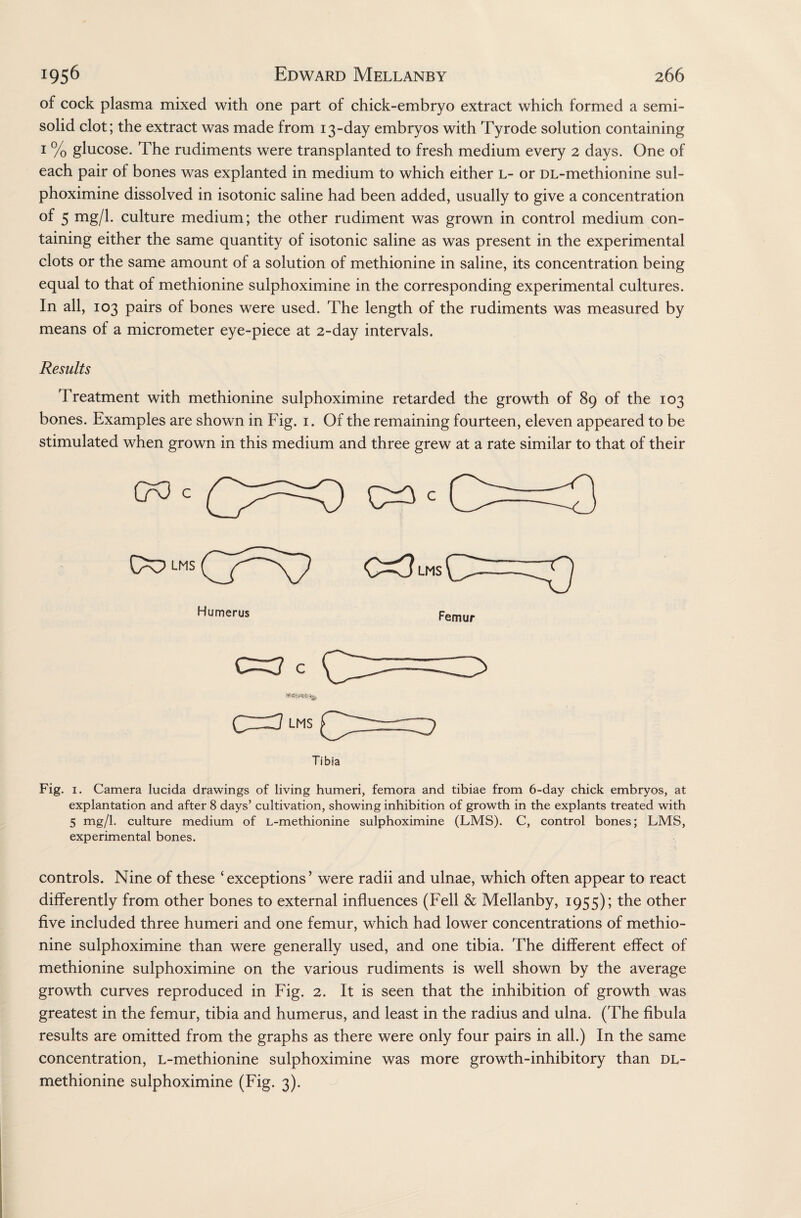 of cock plasma mixed with one part of chick-embryo extract which formed a semi¬ solid clot; the extract was made from 13-day embryos with Tyrode solution containing 1 % glucose. The rudiments were transplanted to fresh medium every 2 days. One of each pair of bones was explanted in medium to which either L- or DL-methionine sul- phoximine dissolved in isotonic saline had been added, usually to give a concentration of 5 mg/l- culture medium; the other rudiment was grown in control medium con¬ taining either the same quantity of isotonic saline as was present in the experimental clots or the same amount of a solution of methionine in saline, its concentration being equal to that of methionine sulphoximine in the corresponding experimental cultures. In all, 103 pairs of bones were used. The length of the rudiments was measured by means of a micrometer eye-piece at 2-day intervals. Results Treatment with methionine sulphoximine retarded the growth of 89 of the 103 bones. Examples are shown in Fig. 1. Of the remaining fourteen, eleven appeared to be stimulated when grown in this medium and three grew at a rate similar to that of their Humerus C=3 c CZ3 lms Tibia Fig. 1. Camera lucida drawings of living humeri, femora and tibiae from 6-day chick embryos, at explantation and after 8 days’ cultivation, showing inhibition of growth in the explants treated with 5 mg/l. culture medium of L-methionine sulphoximine (LMS). C, control bones; LMS, experimental bones. controls. Nine of these ‘exceptions’ were radii and ulnae, which often appear to react differently from other bones to external influences (Fell & Mellanby, 1955); the other five included three humeri and one femur, which had lower concentrations of methio¬ nine sulphoximine than were generally used, and one tibia. The different effect of methionine sulphoximine on the various rudiments is well shown by the average growth curves reproduced in Fig. 2. It is seen that the inhibition of growth was greatest in the femur, tibia and humerus, and least in the radius and ulna. (The fibula results are omitted from the graphs as there were only four pairs in all.) In the same concentration, L-methionine sulphoximine was more growth-inhibitory than DL- methionine sulphoximine (Fig. 3).
