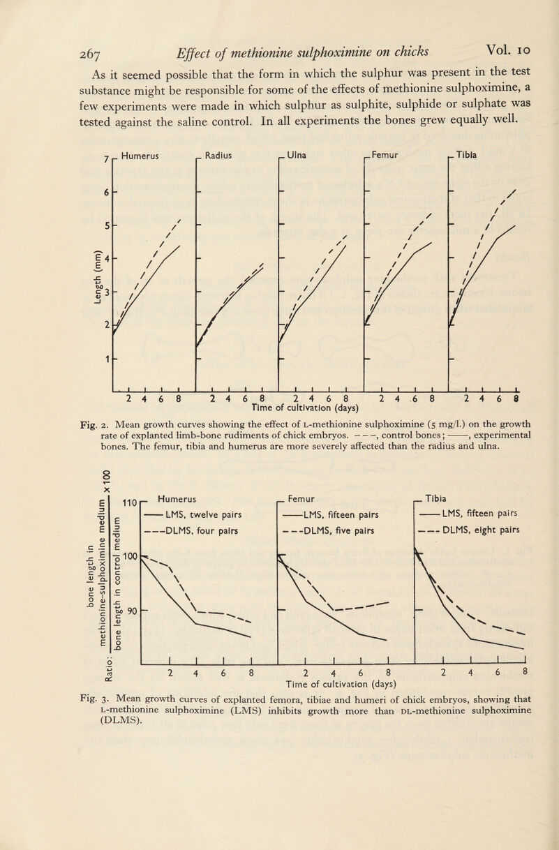 As it seemed possible that the form in which the sulphur was present in the test substance might be responsible for some of the effects of methionine sulphoximine, a few experiments were made in which sulphur as sulphite, sulphide or sulphate was tested against the saline control. In all experiments the bones grew equally well. Fig. 2. Mean growth curves showing the effect of L-methionine sulphoximine (5 mg/1.) on the growth rate of explanted limb-bone rudiments of chick embryos.-, control bones;-, experimental bones. The femur, tibia and humerus are more severely affected than the radius and ulna. o o X Fig. 3. Mean growth curves of explanted femora, tibiae and humeri of chick embryos, showing that L-methionine sulphoximine (LMS) inhibits growth more than DL-methionine sulphoximine (DLMS).