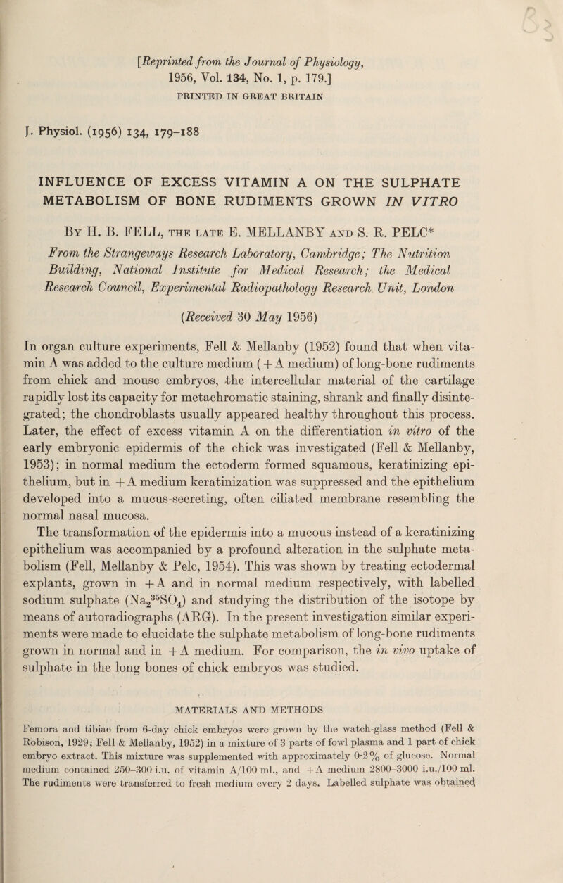 [Reprinted from the Journal of Physiology, 1956, Yol. 134, No. 1, p. 179.] PRINTED IN GREAT BRITAIN J. Physiol. (1956) 134, 179-188 INFLUENCE OF EXCESS VITAMIN A ON THE SULPHATE METABOLISM OF BONE RUDIMENTS GROWN IN VITRO By H. B. FELL, the late E. MELLANBY and S. R. PELC* From the Strangeways Research Laboratory, Cambridge; The Nutrition Building, National Institute for Medical Research; the Medical Research Council, Experimental Radiopathology Research TJnit, London (.Received 30 May 1956) In organ culture experiments, Fell & Mellanby (1952) found that when vita¬ min A was added to the culture medium (+ A medium) of long-bone rudiments from chick and mouse embryos, -the intercellular material of the cartilage rapidly lost its capacity for metachromatic staining, shrank and finally disinte¬ grated; the chondroblasts usually appeared healthy throughout this process. Later, the effect of excess vitamin A on the differentiation in vitro of the early embryonic epidermis of the chick was investigated (Fell & Mellanby, 1953); in normal medium the ectoderm formed squamous, keratinizing epi¬ thelium, but in + A medium keratinization was suppressed and the epithelium developed into a mucus-secreting, often ciliated membrane resembling the normal nasal mucosa. The transformation of the epidermis into a mucous instead of a keratinizing epithelium was accompanied by a profound alteration in the sulphate meta¬ bolism (Fell, Mellanby & Pelc, 1954). This was shown by treating ectodermal explants, grown in +A and in normal medium respectively, with labelled sodium sulphate (Na235S04) and studying the distribution of the isotope by means of autoradiographs (ARG). In the present investigation similar experi¬ ments were made to elucidate the sulphate metabolism of long-bone rudiments grown in normal and in +A medium. For comparison, the in vivo uptake of sulphate in the long bones of chick embryos was studied. MATERIALS AND METHODS Femora and tibiae from 6-day chick embryos were grown by the watch-glass method (Fell & Robison, 1929; Fell & Mellanby, 1952) in a mixture of 3 parts of fowl plasma and 1 part of chick embryo extract. This mixture was supplemented with approximately 0*2 % of glucose. Normal medium contained 250-300 i.u. of vitamin A/100 ml., and +A medium 2800-3000 i.u./lOO ml. The rudiments were transferred to fresh medium every 2 days. Labelled sulphate was obtained;