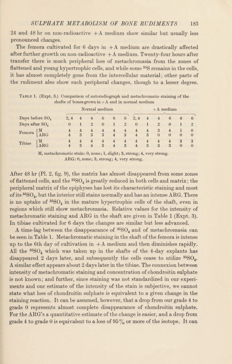 24 and 48 hr on non-radioactive + A medium show similar but usually less pronounced changes. The femora cultivated for 6 days in +A medium are drastically affected after further growth on non-radioactive + A medium. Twenty-four hours after transfer there is much peripheral loss of metachromasia from the zones of flattened and young hypertrophic cells, and while some 35S remains in the cells, it has almost completely gone from the intercellular material; other parts of the rudiment also show such peripheral changes, though to a lesser degree. Table 1. (Expt. 3.) Comparison of autoradiograph and metachromatic staining of the shafts of bones grown in + A and in normal medium Days before S04 Days after S04 Femora Tibiae (M 1ARG (M ARG Normal medium _A_ 2, 4 4 4 6 6 0 12 0 1 4 4 4 4 4 4 3 3 3 4 4 4 4 4 4 4 3 4 3 4 6 2 4 3 4 3 + A medium _A_ 2,4 4 4 6 6 0 12 0 1 4 4 3 4 1 4 3 0 0 0 4 4 4 4 3 4 3 3 3 0 6 2 0 0 3 0 M, metachromatic stain: 0, none; 1, slight; 3, strong; 4, very strong. ARG: 0, none; 3, strong; 4, very strong. After 48 hr (PI. 2, fig. 9), the matrix has almost disappeared from some zones of flattened cells, and the 35S04 is greatly reduced in both cells and matrix; the peripheral matrix of the epiphyses has lost its characteristic staining and most of its 35S04, but the interior still stains normally and has an intense ARG. There is no uptake of 35S04 in the mature hypertrophic cells of the shaft, even in regions which still show metachromasia. Relative values for the intensity of metachromatic staining and ARG in the shaft are given in Table 1 (Expt. 3). In tibiae cultivated for 6 days the changes are similar but less advanced. A time-lag between the disappearance of 35S04 and of metachromasia can be seen in Table 1. Metachromatic staining in the shaft of the femora is intense up to the 6th day of cultivation in -f-A medium and then diminishes rapidly. All the 35S04 which was taken up in the shafts of the 4-day explants has disappeared 2 days later, and subsequently the cells cease to utilize 35S04. A similar effect appears about 2 days later in the tibiae. The connexion between intensity of metachromatic staining and concentration of chondroitin sulphate is not known; and further, since staining was not standardized in our experi¬ ments and our estimate of the intensity of the stain is subjective, we cannot state what loss of chondroitin sulphate is equivalent to a given change in the staining reaction. It can be assumed, however, that a drop from our grade 4 to grade 0 represents almost complete disappearance of chondroitin sulphate. For the ARG’s a quantitative estimate of the change is easier, and a drop from grade 4 to grade 0 is equivalent to a loss of 95 % or more of the isotope. It can