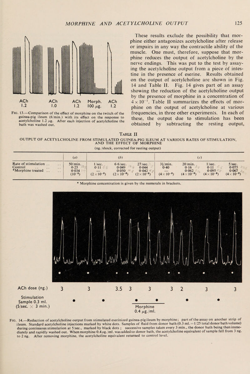 Fig. 13.—Comparison of the effect of morphine on the twitch of the guinea-pig ileum (6/min.) with its effect on the response to acetylcholine 1.2 //g. After each injection of acetylcholine the bath was washed out. These results exclude the possibility that mor¬ phine either antagonizes acetylcholine after release or impairs in any way the contractile ability of the muscle. One must, therefore, suppose that mor¬ phine reduces the output of acetylcholine by the nerve endings. This was put to the test by assay¬ ing the acetylcholine output from a piece of intes¬ tine in the presence of eserine. Results obtained on the output of acetylcholine are shown in Fig. 14 and Table II. Fig. 14 gives part of an assay showing the reduction of the acetylcholine output by the presence of morphine in a concentration of 4 x 1CT7. Table II summarizes the effects of mor¬ phine on the output of acetylcholine at various frequencies, in three other experiments. In each of these, the output due to stimulation has been obtained by subtracting the resting output, Table II OUTPUT OF ACETYLCHOLINE FROM STIMULATED GUINEA-PIG ILEUM AT VARIOUS RATES OF STIMULATION, AND THE EFFECT OF MORPHINE (ng./shock, corrected for resting output) (a) Cb) (c) Rate of stimulation Control ^Morphine treated . . 50/min. 0-25 l*'S 0034 (10-8) 1/sec. 0 11 (2 x10-6) 6-6/sec. 0-049 0-050 /?-,p (2x 10-«) 27/sec. 0-044 0 042 «> (2 X IQ6) 3^/min. 0-40 (4xIQ-0) 20'min. 0-16 h 0-062 / (4 X IQ-6) 1/sec. 0 11 0-095 M (4 x 10-«) 5/sec. 0-075 0 067 j (4x 10-«) * Morphine concentration is given by the numerals in brackets. ACh dose (ng.) 3 3 3.5 33 32 3 3 Stimulation Sample 0.3 ml. • 9 9 9 (5/sec. X 3 min.) Morphine 0.4 /xg./ml. Fig. 14.—Reduction of acetylcholine output from stimulated eserinized guinea-pig ileum by morphine; part of the assay on another strip of ileum. Standard acetylcholine injections marked by white dots. Samples of fluid from donor bath (0.3 ml. = 1/25 total donor bath volume) during continuous stimulation at 5/sec., marked by black dots ; successive samples taken every 3 min., the donor bath being then imme¬ diately and rapidly washed out. When morphine OA/ug./ml. was added to donor bath, the acetylcholine equivalent of sample fell from 3 ng. to 2 ng. After removing morphine, the acetylcholine equivalent returned to control level.