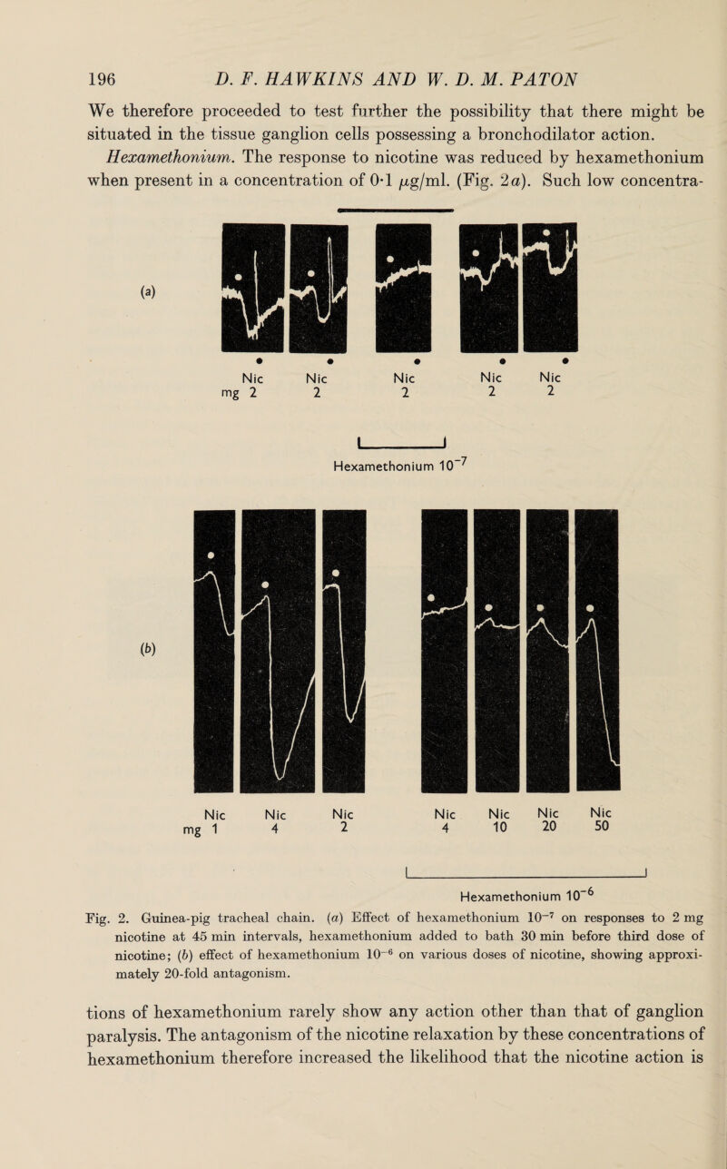 We therefore proceeded to test further the possibility that there might be situated in the tissue ganglion cells possessing a bronchodilator action. Hexamethonium. The response to nicotine was reduced by hexamethonium when present in a concentration of 0*1 p,g/ml. (Fig. 2 a). Such low concentra- Hexamethonium 10 6 Eig. 2. Guinea-pig tracheal chain, (a) Effect of hexamethonium 10-7 on responses to 2 mg nicotine at 45 min intervals, hexamethonium added to bath 30 min before third dose of nicotine; (b) effect of hexamethonium 10“6 on various doses of nicotine, showing approxi¬ mately 20-fold antagonism. tions of hexamethonium rarely show any action other than that of ganglion paralysis. The antagonism of the nicotine relaxation by these concentrations of hexamethonium therefore increased the likelihood that the nicotine action is