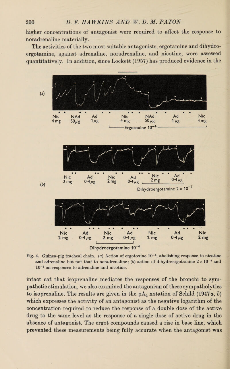 higher concentrations of antagonist were required to affect the response to noradrenaline materially. The activities of the two most suitable antagonists, ergotamine and dihydro- ergotamine, against adrenaline, noradrenaline, and nicotine, were assessed quantitatively. In addition, since Lockett (1957) has produced evidence in the Nic Ad Nic Ad Nic Ad Nic 2 mg 0-4 fig 2 mg 0-4 [ig 2 mg 0-4 fig 2 mg I_i Dihydroergotamine 10~6 Fig. 4. Guinea-pig tracheal chain, (a) Action of ergotoxine 10~4, abolishing response to nicotine and adrenaline but not that to noradrenaline; (b) action of dihydroergotamine 2 x 10~7 and io-6 on responses to adrenaline and nicotine. intact cat that isoprenaline mediates the responses of the bronchi to sym¬ pathetic stimulation, we also examined the antagonism of these sympatholytics to isoprenaline. The results are given in the pA2 notation of Schild (1947 a, b) which expresses the activity of an antagonist as the negative logarithm of the concentration required to reduce the response of a double dose of the active drug to the same level as the response of a single dose of active drug in the absence of antagonist. The ergot compounds caused a rise in base line, which prevented these measurements being fully accurate when the antagonist was