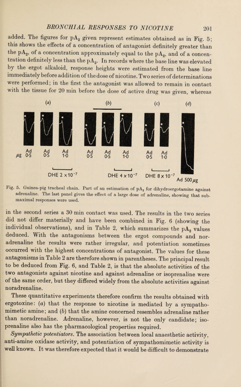 added. The figures for pA2 given represent estimates obtained as in Fig. 5; this shows the effects of a concentration of antagonist definitely greater than the pA2, of a concentration approximately equal to the pA2, and of a concen¬ tration definitely less than the pA2. In records where the base line was elevated by the ergot alkaloid, response heights were estimated from the base line immediately before addition of the dose of nicotine. Two series of determinations were performed; in the first the antagonist was allowed to remain in contact with the tissue for 20 min before the dose of active drug was given, whereas (a) M (c) (</) Ad 500 jug Fig. 5. Guinea-pig tracheal chain. Part of an estimation of pA2 for dihydroergotamine against adrenaline. The last panel gives the effect of a large dose of adrenaline, showing that sub- maximal responses were used. in the second series a 30 min contact was used. The results in the two series did not differ materially and have been combined in Fig. 6 (showing the individual observations), and in Table 2, which summarizes the pA2 values deduced. With the antagonisms between the ergot compounds and nor¬ adrenaline the results were rather irregular, and potentiation sometimes occurred with the highest concentrations of antagonist. The values for these antagonisms in Table 2 are therefore shown in parentheses. The principal result to be deduced from Fig. 6, and Table 2, is that the absolute activities of the two antagonists against nicotine and against adrenaline or isoprenaline were of the same order, but they differed widely from the absolute activities against noradrenaline. These quantitative experiments therefore confirm the results obtained with ergotoxine: (a) that the response to nicotine is mediated by a sympatho¬ mimetic amine; and (b) that the amine concerned resembles adrenaline rather than noradrenaline. Adrenaline, however, is not the only candidate; iso¬ prenaline also has the pharmacological properties required. Sympathetic potentiators. The association between local anaesthetic activity, anti-amine oxidase activity, and potentiation of sympathomimetic activity is well known. It was therefore expected that it would be difficult to demonstrate