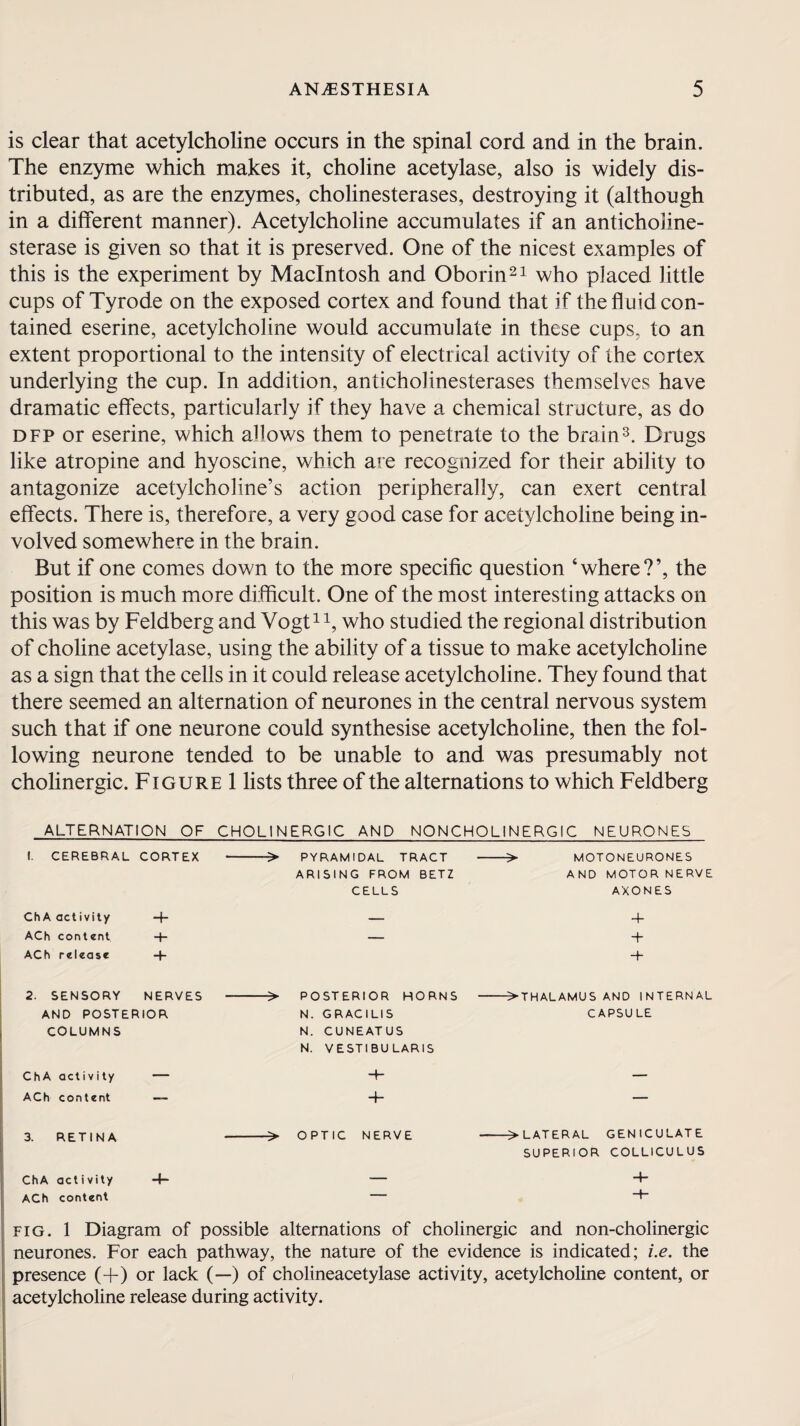 is clear that acetylcholine occurs in the spinal cord and in the brain. The enzyme which makes it, choline acetylase, also is widely dis¬ tributed, as are the enzymes, cholinesterases, destroying it (although in a different manner). Acetylcholine accumulates if an anticholine¬ sterase is given so that it is preserved. One of the nicest examples of this is the experiment by Macintosh and Oborin21 who placed little cups of Tyrode on the exposed cortex and found that if the fluid con¬ tained eserine, acetylcholine would accumulate in these cups, to an extent proportional to the intensity of electrical activity of the cortex underlying the cup. In addition, anticholinesterases themselves have dramatic effects, particularly if they have a chemical structure, as do dfp or eserine, which allows them to penetrate to the brain3. Drugs like atropine and hyoscine, which are recognized for their ability to antagonize acetylcholine’s action peripherally, can exert central effects. There is, therefore, a very good case for acetylcholine being in¬ volved somewhere in the brain. But if one comes down to the more specific question ‘where?’, the position is much more difficult. One of the most interesting attacks on this was by Feldberg and Vogt11, who studied the regional distribution of choline acetylase, using the ability of a tissue to make acetylcholine as a sign that the cells in it could release acetylcholine. They found that there seemed an alternation of neurones in the central nervous system such that if one neurone could synthesise acetylcholine, then the fol¬ lowing neurone tended to be unable to and was presumably not cholinergic. Figure 1 lists three of the alternations to which Feldberg ALTERNATION OF CHOLINERGIC AND NONCHOLINERGIC NEURONES I. CEREBRAL CORTEX ChA activity ACh content -+- ACh release 4- > PYRAMIDAL TRACT -> ARISING FROM BETZ CELLS MOTONEURONES AND MOTOR NERVE AXONES + 4 •+ 2. SENSORY NERVES AND POSTERIOR COLUMNS ChA activity ACh content > POSTERIOR HORNS ->THALAMUSAND INTERNAL N. GRACILIS CAPSULE N. CUNEATUS N. VESTIBULARIS H- — 4- — 3. RETINA ChA activity ACh content > OPTIC NERVE -> LATERAL GENICULATE SUPERIOR COLLICULUS fig. 1 Diagram of possible alternations of cholinergic and non-cholinergic neurones. For each pathway, the nature of the evidence is indicated; i.e. the presence (+) or lack (—) of cholineacetylase activity, acetylcholine content, or acetylcholine release during activity.