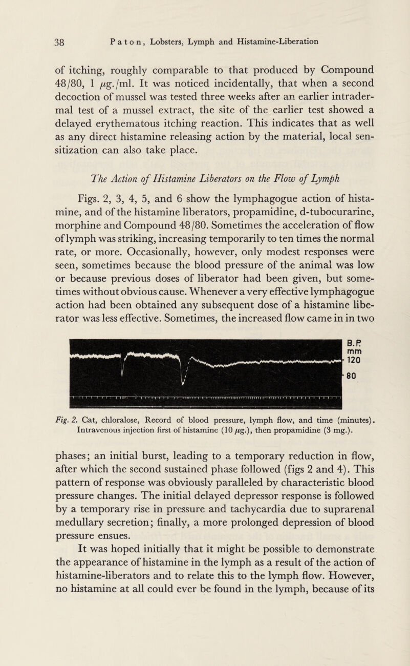 of itching, roughly comparable to that produced by Compound 48/80, 1 /^g./ml. It was noticed incidentally, that when a second decoction of mussel was tested three weeks after an earlier intrader- mal test of a mussel extract, the site of the earlier test showed a delayed erythematous itching reaction. This indicates that as well as any direct histamine releasing action by the material, local sen¬ sitization can also take place. The Action of Histamine Liberators on the Flow of Lymph Figs. 2, 3, 4, 5, and 6 show the lymphagogue action of hista¬ mine, and of the histamine liberators, propamidine, d-tubocurarine, morphine and Compound 48/80. Sometimes the acceleration of flow of lymph was striking, increasing temporarily to ten times the normal rate, or more. Occasionally, however, only modest responses were seen, sometimes because the blood pressure of the animal was low or because previous doses of liberator had been given, but some¬ times without obvious cause. Whenever a very effective lymphagogue action had been obtained any subsequent dose of a histamine libe¬ rator was less effective. Sometimes, the increased flow came in in two B.R mm 120 80 Fig. 2. Cat, chloralose, Record of blood pressure, lymph flow, and time (minutes). Intravenous injection first of histamine (10 jug.), then propamidine (3 mg.). phases; an initial burst, leading to a temporary reduction in flow, after which the second sustained phase followed (figs 2 and 4). This pattern of response was obviously paralleled by characteristic blood pressure changes. The initial delayed depressor response is followed by a temporary rise in pressure and tachycardia due to suprarenal medullary secretion; finally, a more prolonged depression of blood pressure ensues. It was hoped initially that it might be possible to demonstrate the appearance of histamine in the lymph as a result of the action of histamine-liberators and to relate this to the lymph flow. However, no histamine at all could ever be found in the lymph, because of its