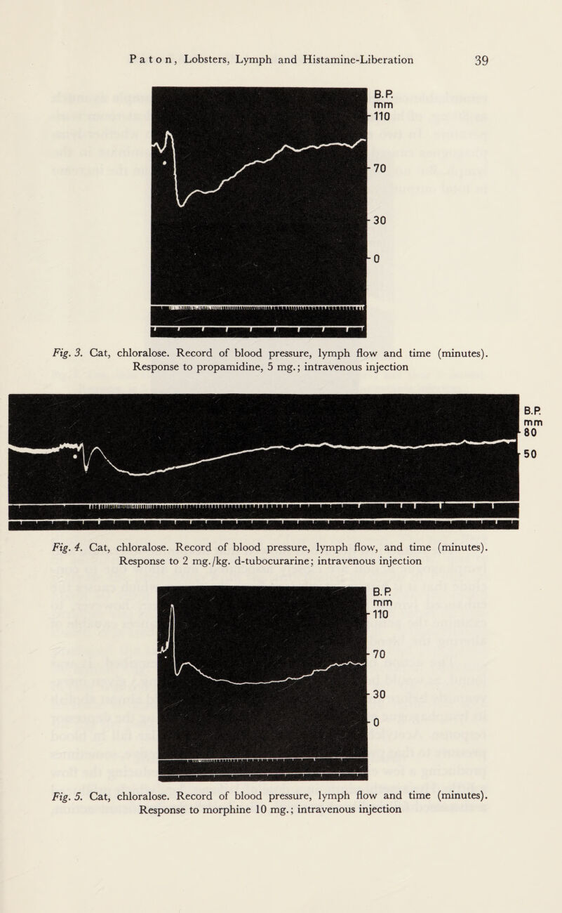 Fig. 3. Gat, chloralose. Record of blood pressure, lymph flow and time (minutes). Response to propamidine, 5 mg.; intravenous injection B.P. mm 80 50 Fig. 4. Cat, chloralose. Record of blood pressure, lymph flow, and time (minutes). Response to 2 mg./kg. d-tubocurarine; intravenous injection Fig. 5. Cat, chloralose. Record of blood pressure, lymph flow and time (minutes). Response to morphine 10 mg.; intravenous injection