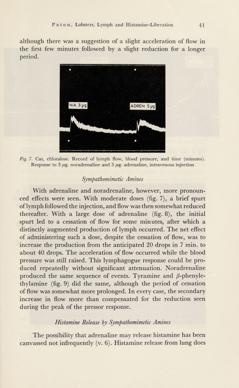 although there was a suggestion of a slight acceleration of flow in the first few minutes followed by a slight reduction for a longer period. Fig. 7. Cat, chloralose. Record of lymph flow, blood pressure, and time (minutes). Response to 3 fig. noradrenaline and 5 fjig. adrenaline, intravenous injection Sympathomimetic Amines With adrenaline and noradrenaline, however, more pronoun¬ ced effects were seen. With moderate doses (fig. 7), a brief spurt of lymph followed the injection, and flow was then somewhat reduced thereafter. With a large dose of adrenaline (fig. 8), the initial spurt led to a cessation of flow for some minutes, after which a distinctly augmented production of lymph occurred. The net effect of administering such a dose, despite the cessation of flow, was to increase the production from the anticipated 20 drops in 7 min. to about 40 drops. The acceleration of flow occurred while the blood pressure was still raised. This lymphagogue response could be pro¬ duced repeatedly without significant attenuation. Noradrenaline produced the same sequence of events. Tyramine and ^-phenyle- thylamine (fig. 9) did the same, although the period of cessation of flow was somewhat more prolonged. In every case, the secondary increase in flow more than compensated for the reduction seen during the peak of the pressor response. Histamine Release by Sympathomimetic Amines The possibility that adrenaline may release histamine has been canvassed not infrequently (v. 6). Histamine release from lung does