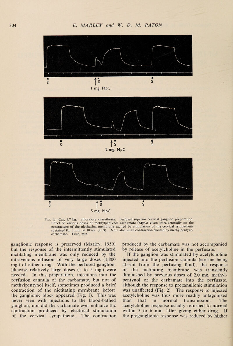 2 mg. MpC S 15 s 5 mg. MpC Fig. 1.—Cat, 1.7 kg.; chloralose anaesthesia. Perfused superior cervical ganglion preparation. Effect of various doses of methylpentynol carbamate (MpC) given intra-arterially on the contracture of the nictitating membrane excited by stimulation of the cervical sympathetic sustained for 3 min. at 10 sec. (at S). Note also small contraction elicited by methylpentynol carbamate. Time, min. ganglionic response is preserved (Marley, 1959) but the response of the intermittently stimulated nictitating membrane was only reduced by the intravenous infusion of very large doses (1,800 mg.) of either drug. With the perfused ganglion, likewise relatively large doses (1 to 5 mg.) were needed. In this preparation, injections into the perfusion cannula of the carbamate, but not of methylpentynol itself, sometimes produced a brief contraction of the nictitating membrane before the ganglionic block appeared (Fig. 1). This was never seen with injections to the blood-bathed ganglion, nor did the carbamate ever enhance the contraction produced by electrical stimulation of the cervical sympathetic. The contraction produced by the carbamate was not accompanied by release of acetylcholine in the perfusate. If the ganglion was stimulated by acetylcholine injected into the perfusion cannula (eserine being absent from the perfusing fluid), the response of the nictitating membrane was transiently diminished by previous doses of 2.0 mg. methyl¬ pentynol or the carbamate into the perfusate, although the response to preganglionic stimulation was unaffected (Fig. 2). The response to injected acetylcholine was thus more readily antagonized than that in normal transmission. The acetylcholine response usually returned to normal within 3 to 6 min. after giving either drug. If the preganglionic response was reduced by higher