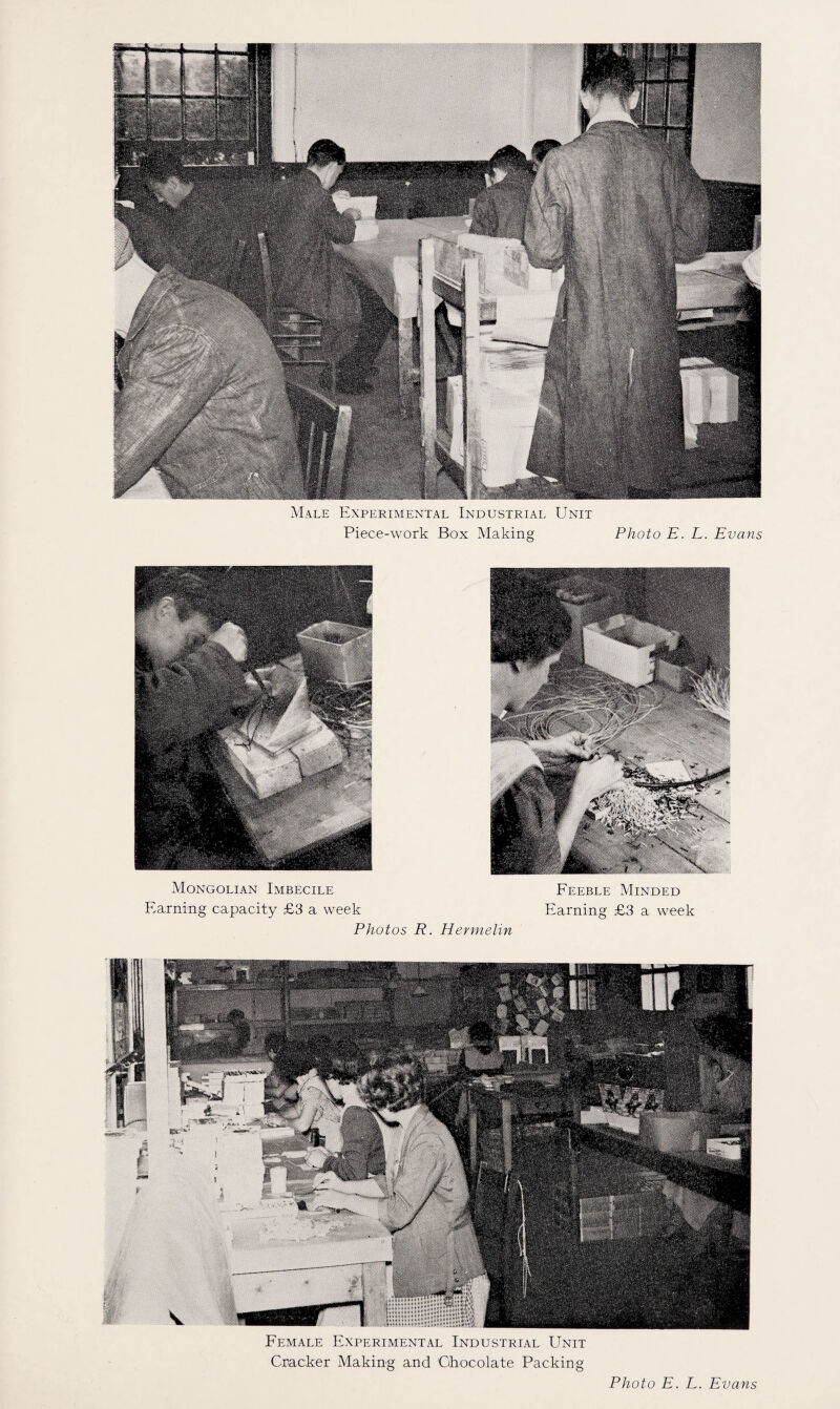 Male Experimental Industrial Unit Piece-work Box Making Photo E. L. Evans Mongolian Imbecile Earning capacity £3 a week Photos R. Hermelin Feeble Minded Earning £3 a week Female Experimental Industrial Unit Cracker Making and Chocolate Packing Photo E. L. Evans