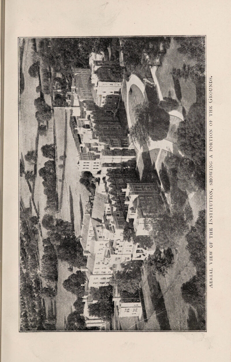 aerial View of the Institution, showing a portion of the Grounds.