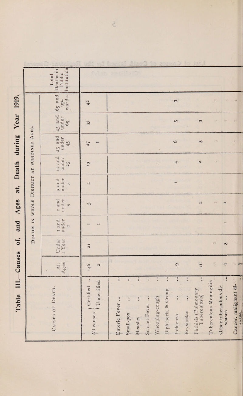 Table III—Causes of, and Ages at, Death during Year 1919. Other tuberculous di¬ seases