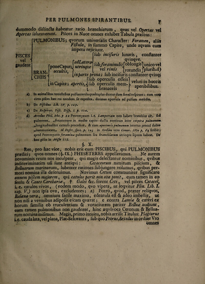 / dummodo diflinda habeatur ratio branchiarum , qvas vel Opertas vel Apertas ia lutaverunt. Pi/ces in Nuce omnes exhibet Tabula praeiens: PULMONIBUS 5 gvorum univerialis Chara der: Foramen, aliis Fiftula, in lummo Capite, unde aqvam cum impetu rejiciunt. fub incifuris lunatis, conftantcr PISCES vel ‘ gaudent BRAN-. j, CHIIS' fadLatera* poneCaputj.j utrinqve occultis, fubforaminulis vel rimis qvmqve. oblongis unico vel rotundis jplurib.d) in parte prona ; fub incifuris conilanter qvinq; fliib operculis ofleisl i .. u - in Capite, apertis, jfub o^rcuUsmem-j v ^“‘bibbus. a) In animalibus tcrreftribus pulfus cordis qvadruplus dicitur dum /cmel refpirant; cum vero circa pifces haec res nondum fit expedita > diximus opercula ad pulfum mobilia. b) De Fifcibus Ltb. iy p. i o p. c) De Refpirat. Vifc. Difp. 1. p. xt o. d) Arfedus Phil. Ich/. p a a Petromyzum i. c. Lampetram non habere branchias ait» fedl pulmones, „foramenqve in medio capite-dufiu continuo inter corpora pulmonum .j.longitudinaliter extenfo procedere, & cum apertum pulmonum interius procul dubio «communicare,» id Defer, fpec. p. i e; in Ordine vero Cener. lVto p. tf^lcribits qvod Pctrcmyzon foramina pulmonum feu branchiarum utrinqve feptem habeat. De hoc pifce in M*(fn III. j. X. Res, pro hac vice, nobis erit eum PISCIBUS, qvi PULMONIBUS prxditi; qvos omnes (§. IX.) PHYSETERES appellavimus. Ne autem novaminis reum nos inculpent, qvi magis deledantur nominibus, qvibus indilcriminatim uli linit antiqvi: Cetaceorum nimirum pifeium, & Belluamm marinarum, lubenter rationes fubjungere volumus, qvibus per¬ moti nomina illa deferuimus. Novimus Cetum communiter fignificare omnem pifcem majorem, qvi catulos parit non ova ponit, cum tamen in eo fenlu & Canes Carebar ice, f Galei &c. forent Ceti, vel pilees Cetacei, i. e* catulos vivos, (eodem modo, qvo vipera, ut loqvitur Flin. Lib. L tap* V.) nonipfaova, excludentes; a) Porro, qvod, praeter reliqvos. Habena vera, omnium facile maxima, edentula eft & adeo imbelli^, uc non nili a vermibus adipolis eleam qvaerat; e eontra Lamie & caeteri ex horum familia ob truculentiam & voracitatem pariter Belluce audiunt, cum t3men pulmonibus non gaudeant, hinc aeqvivoca Cetorum & Bellua- rum nomina mifimus. Magis, primo intuitu, nobis arrifit Titulus: Flagiurus Le. cauda lata, vel plana, Plat-Schwantz, fub quo FetrusArtedus in ordine Vto omnes