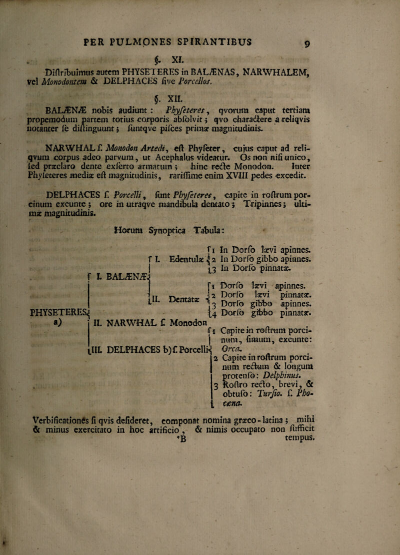 XI. Diftribuitmis autem PHYSETERES in BAL/ENAS, NARWHALEM, vel Monodomm & DELPHACES five Porcellos. §. XIL BAUEN/E nobis audiunt: Phyfeteres, qvorutn caput tertiam properaodum partem totius corporis abfolvit 5 qvo charadiere a rdiqvis notanter le dillinguunt ; funtqve pilees primae magnitudinis. NARWHALf. Monodon Artedt, eft Phy feter, cuius caput ad reli- qvum corpus adeo parvum, ut Acephalus videatur* Os non nifi unico, led praeclaro dente exferto armatum ; hinc redle Monodon. Inter Phyleteres medis ert magnitudinis, rariflime enim XVIII pedes excedit. DELPHACES E Porcelli, funt Phyfeteres, capite in rofirum por¬ cinum excunte ; ore in utraqve mandibula dentato 5 Tripinnes 3 ulti¬ mae magnitudinis. Horum Synoptica Tabula: PHYSETERES, Pi In Dorfo laevi apinnes. L Edentulae \ 2 In Dorfo gibbo apinnes. 13 In Dorfo pinnatx. f L BALANT.! fi Dorfo laevi apinnes. II. Dentata i2 R°rj? 'ff P'nat!C- 3 Dorio gibbo apinnes. £4 Dorfo gfobo pinnatae. II. NARWHAL C Monodon f 1 Capite in roftrum porci- j nam, (imum, exeunte: IIL DELPHACES b)f.POrceltaj Orca. 2 Capite in rofirum porci¬ num redum & longum protenfo: Delphinus. 3 Rofiro redo, brevi, & obtufo: Turjio. f. Pbo- t uena. Verbificationes fi qvis defideret, componat nomina graeco-latina ; mihi & minus exercitato in hoc artificio , & nimis occupato non fufficit tempus.