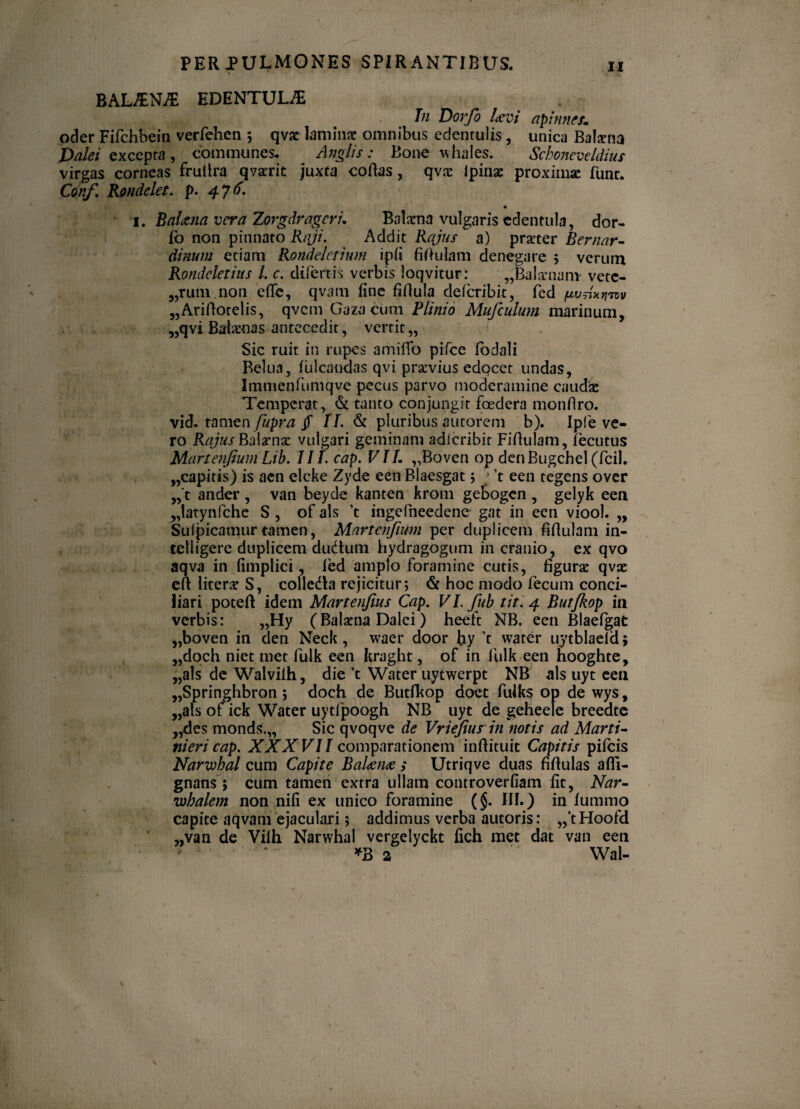 BAL£N M EDENTULA In Dorjb Levi apinnes» oder Fifchbein verfehen 5 qvs laminae omnibus edentulis, unica Batena Dalei excepta, communes. Anglis : Bone whales. Sckoncveldius virgas corneas frufira qvarit juxta cofias, qvne lpinse proximae funr. Conf. Rondelet. p. 476. 1. BaLena vera Zorgdragcru Balaena vulgaris edentula, dor- fb non pinnato Raji. Addit Rajus a) praeter Bernar- dinum etiam Rondeletmm i pii fifiulam denegare ; verum Rondeletius l. c. diiertis verbis loqvitur: „BaIa*nam vete¬ rrimi non effe, qvam fine fifiula delcribit, fed fivaxtwv „Arifiorelis, qvem Gaza cum Plinio Mufculum marinum, „qvi Balaenas antecedit, vertit,, Sic ruit in rupes amiffo pifce fbdali Belua, fulcandas qvi praevius edocet undas, Immenfumqve pecus parvo moderamine caudae Temperat, & tanto conjungit foedera monfiro. vid. tamen fupra § II. & pluribus autorem b). Ip(e ve¬ ro Rajus Balamae vulgari geminam adicribit Fifiulam, iecutus Martenjium Lib. III. cap. VII. „Boven op denBugchel (fcil. „capitis) is aen elcke Zyde een Blaesgat ; ; ’t een tegens over „ t ander , van beyde kanten krom gebogcn , gelyk een „latynfche S , of ais ’t ingcfneedene- gat in een viool. „ Sulpicamur tamen, Martenjium per duplicem fifiulam in- telligere duplicem dudtum hydragogum in cranio, ex qvo aqva in fimplici, fed amplo foramine cutis, figurae qvae eft litera? S, colle&a rejicitur; & hoc modo fecum conci¬ liari potefi idem Martenfms Cap. VI. fub tit. 4 Butfkop in verbis: „Hy (Balama Dalei) heeft NB. een Blaefgat „boven in den Neck, waer door hy ’t water uytblaeld; „doch niet met fulk een kraght, of in fulk een hooghtc, „als de Walvilh, die ’t Water uytwerpt NB ais uyt een „Springhbron ; doch de Butfkop doet fufks op de wys, ,,als of ick Water uytfpoogh NB uyt de geheele breedte „des monds.,, Sic qvoqve de Vriejius in notis ad Marti- ni eri cap. XXXVII comparationem infiituit Capitis pifeis Narwbal cum Capite Bal<en<e ; Utriqve duas fiftulas afii- gnans; cum tamen extra ullam controverfiam fit, Nar- •whalem non nifi ex unico foramine (§. III.) in fummo capite aqvarn ejaculari; addimus verba autoris: ,,’tHoofd „van de Vilh Narwhal vergelyckt fich met dat van een *3 2 Wal-