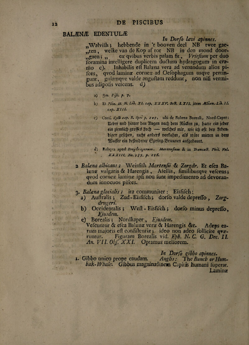 BALAftME EDENTULAE In Dorfo levi apinnes. „Walvilh; hebbende in ’t booven deel NB twcc gae- „ten, welke van de Kop af tot NB in den mond door- ,,gaen 5 „ ex qvibus verbis palam fit, Vriejium per duo foramina intelligere duplicem dudhrm hydragogum in cra¬ nio c). Inhabilis ed Bala'na vera ad venandum alios pi- fces, qvod laminae cornea ad Oefophagum usqve pertin¬ gunt, gulamqve valde angudam redaunt, non niti vermi¬ bus adipolis veicens. d) 3) .3-n. Pi/c. p. 7* bj Et Plln. U. A7. Lsb. XI. cap. JJJC. 3e&. LX11. item JBlunuX.tk.lU c*p. XI IU cj Conti I\plb eap. B. Spei p, i ot■> obi de Ratem Borcali, Nord-Caper: tleber tmb f;intcr ben Qftigcn rmcl; bern 3?ucfen ja, Ijfltte eiit jeber cin gremficf* flrofM ?ocfr — iuefdxtf mir, urie ref) oft bep geberi- fciflen gefe&en, m$t rtnber$ i>orfa£m, atf mu mitten in beni *H5r»tTev* cin bcfonbem* 6prtttg=25ru»nen aufQebauet d) Rehqva ;»pcd ZorgUr.tgtrnm. Aiarttxjixm & in Trans aci. Ph/J. VeU XXX111. N&.}S7. p‘ 2 Bal<ena albicans ; Weisfiih Martenfii & Zorgdr. Et efca Ba- Ixnx vulgaris & Harengis , Atellis, fimilibusqvc vefcenss qvod corneae laminae ipfi non 1'unt impedimento ad devoran¬ dum innocuos pifces. 3. Balena glacialis ; ita communiter : Eisfifch: a) Audralis j Zud-Eisfifch 5, dorfo valde deprefTo , Zorg- drageri. b) Occidentalis ; Wed - Eisfifch 5 dorfo minus deprefTo, Ejusdem. c) Borcalis; Nordfraper, Ejusdem. Vefamtur & efca Balxnx verx <k Harengfs &c. Adeps ea¬ rum majoris ed confidentiae j. ideo non adeo follicite qvx- runtur. Figuram Borealis vid. Eph. N. C. G. Dec. II. An. VII. Obf. XXL Optamus meliorem. > * , In Dorfo gibbo apinnes. 1. Gibbo (mico prope caudam. Anglis: The Bunch orHum- bak-Wbalc. Gibbus magnitudinem Cipi (is humani iuperar. Laminae 1