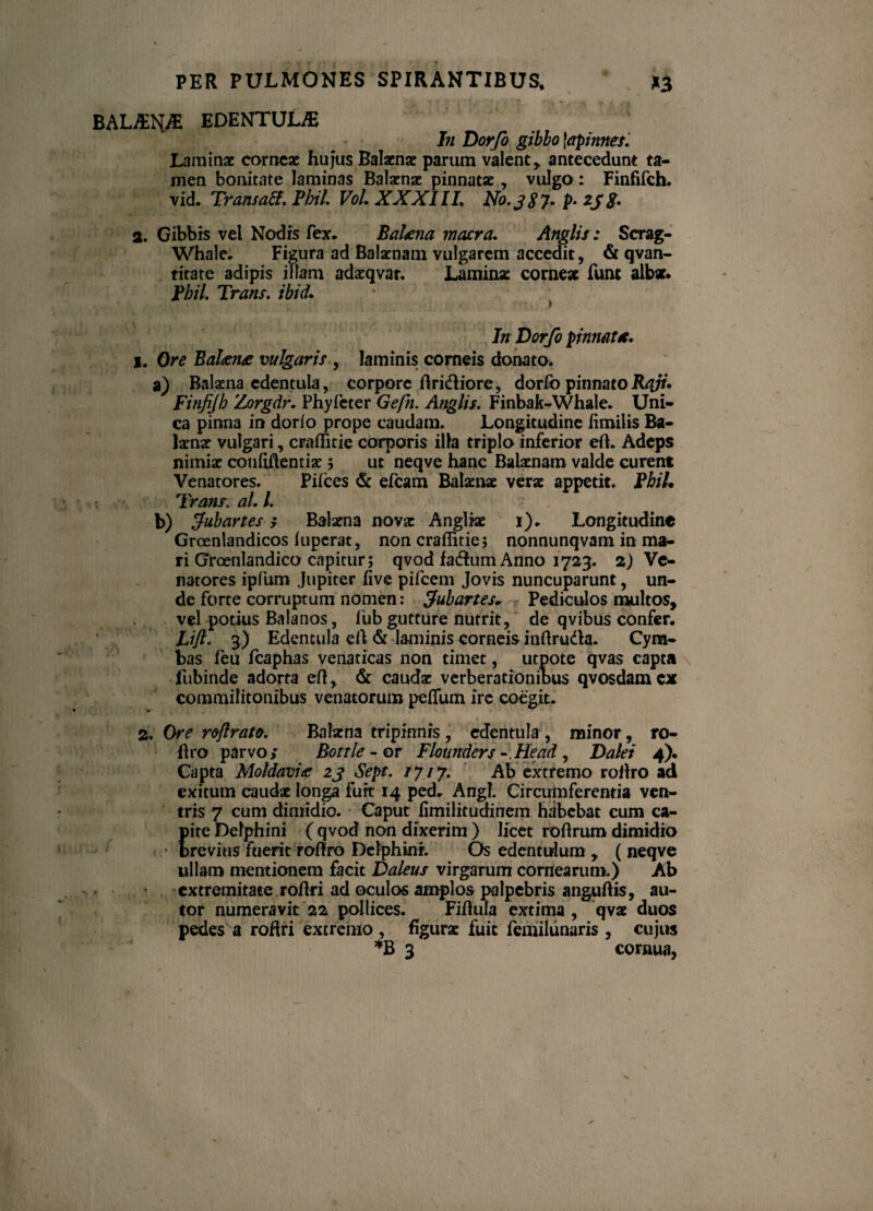 BALEDENTULA In Dorfo gibbo \apimes. Lamina corneae hujus Balaenae parum valent,, antecedunt ta¬ men bonitate laminas Balaenae pinnatae, vulgo : Finfifeh. vid. Transaff. Pbil. VoL XXXIIL No. 387. p. 23 g. a. Gibbis vel Nodis fex. Balena macra. Anglis: Scrag- Whale. Figura ad Balaenam vulgarem accedit, & qvan- titate adipis illam adaeqvar. Laminae corneae fune albae. Pbil. Trans, ibid. , •{• K*'i „ / « In Dorfo pinnate* 1. Ore Balene vulgaris , laminis corneis donato. a) Balaena edentula, corpore flridliore, dorfo pinnatoRqju Finfijh Zorgdr. Phyfeter Gefn. Anglis. Finbak-Whale. Uni¬ ca pinna in dorio prope caudam. Longitudine iimilis Ba¬ laenae vulgari, craffitie corporis illa triplo inferior efl. Adeps nimiae couftftentiae; ut neqve hanc Balaenam valde curent Venatores. Pifces & efcam Balaenae verae appetit. Pbil, Trans. al. I. b) fubartes i Balaena nova: Angliae 1). Longitudine Groenlandicos luperat, non craffitie; nonnunqvam in ma¬ ri Groenlandico capitur; qvod faftum Anno 1723. 2) Ve¬ natores ipfum Jupiter live pifcem Jovis nuncuparunt, un¬ de forte corruptum nomen: 'fubartes. Pediculos multos, . vel potius Balanos, fubgutture nutrit, de qvibus confer. Lift. 3) Edentula eft & laminis corneis inflrudta. Cym¬ bas feu fcaphas venaticas non timet, utpote qvas capta lubinde adorta efl, & caudae verberationibus qvosdam cx commilitonibus venatorum peffum ire coegit. 2. Ore reflrate. Balaena tripinnis , edentula , minor, ro- 11 ro parvo/ Bottle - or Flounders -.Head , Dalei 4). Capta Moldavie 23 Sept. 1717. Ab extremo roflro ad exitum caudae longa fuit 14 ped. Angi. Circumferentia ven¬ tris 7 cum dimidio. Caput fimilitudinem habebat cum ca- Eite Delphini ( qvod non dixerim ) licet roflrura dimidio revitis fuerit roflro Dciphinr. Os edentulum , ( neqve ullam mentionem facit Daleus virgarum cornearum.) Ab extremitate roflri ad oculos amplos palpebris anguftis, au- tor numeravit 22 pollices. Fiflula extima , qvae duos pedes a roflri extremo , figurae fuit femilunaris , cujus *B 3 cornua,