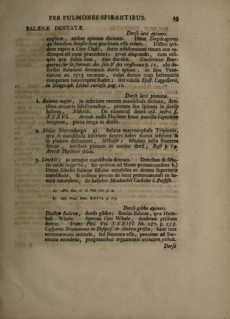 I BAL/EN/E DENTATA ; Dorfo Uvi apinnes. explicat, ambas apinnes dicimus. Hanc Zorgdragerus 42 dentibus limplicibus proditam efle refert. Differt qvi- dem capite a Cete Clujti , forte nihilominus, tamen una ea- demqve cfl cum praecedenti 5 qvod aliqvando, cum reli- qvis qvae dubia limt, dies docebit. Conferatur Bour- guetusfur la format. des fels & des cryfteaux p. 10, ubi de- Jcribit Balaenam dentatam dorfo apinni , in finu Vene- tiarum an. 1715 necatam, cujus dentes cum belemnitis comparare fummopere fludet; fed videfis Epift. CappeUerii, inSciagraph.LhhQl.curiofapag.il. 'i ' : :• • ? Dorfo Uvi pinnat£. 1. BaUna major, in inferiore tantum mandibula dentata, den¬ tibus arcuatis falciformibus , pinnam feu fpinam in dorfp habens, Sibbaldi. De ejusmodi dente vid. infra jf. XXX VI. Artedo audit Phyfeter Imus maxilla fuperiore longiore, pinna longa in dorfo. ' 2. Mular Niercmbergii a). Balaena macrocephala Tripinnis', qvae in mandibula inferiore dentes habet minus inflexos & in planum delinentes , Sibbaldi ; fiflulam infra frontem ferens , eredam pinnam in medio dorfi, Raji p. 14. Artedi Phyfeter lldus. ‘ '* 3. Linckit ; in utraqve mandibula dentata. Dentibus & fiftu.- lis valde lufpedis ; his qvidem ad Nares prominentibus b.) Deme Linckit Balaenae fiftulas mirabiles ac dentes fuperioris mandibulae, & colloca penem de loco praeternaturali in Iqi- cum naturalem, fic habebis Maubacbii Cachelot f. Potffh. a) Acia Nat. C. G. Vct. II/. f>. i. b) Cei/. Vrat. Tent. JCXm. p. 77. Dorfo gibbo apinnis. Dudleji BaUna, dorfo gibbo; fi mi lis Balaenae, qvae Hum- bak - Whale. Sperma Ceti Whale , Ambram grifeam ferens. Trans. Phil. Vol. XXXIII. No. 2$y. p. 2J $. Cafparus Neumannus in Difqvif. de Ambra grifea, hanc non recrementum animale, fed Bitumen efle, proxime ad Suc- cinum accedens, praegnantibus argumentis evincere voluit. Dorfo