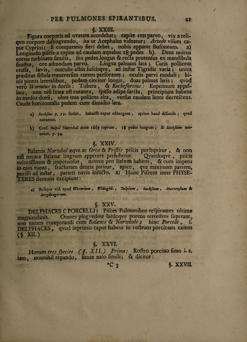 $. XXIII. Figura corporis ad ovatam accedebat; capite erat parvo, vix a reli- qvo corpore di/lingvendo, ita ut Acephalus videatur; Artedo vifum ca¬ put Cyprini; fi comparatio fieri debet, nobis apparet Bufoneum. a) Longitudo pifcis a capite ad caudam seqvabat 18 pedes b). Dens unicus cornu turbinato fimilis, fex pedes longus & reda protenfus ex mandibula finihra, ore admodum parvo. Lingva palmam lata ; Cutis pollicem crafla, larvis, maculis albis fufcisqve, aa inflar Tigridis varia ; unica proditus fiflula transverfim cutem perforante ; oculis parvi moduli; bi¬ nis pinnis lateralibus, pedem circiter longis, duas palmas latis; qvod vero Wormius in dorfo : Tubera , & Rochefortius : Enpennure appel¬ lant, non nifi linea eft cutanea, fpiffo adipe farda, principium habens in medio dorfi, ultra tres pollices alta, verfus caudam lente decrefcens. Cauda horizontalis pedem cum dimidio lata. a) Saihfius f. FF» fcribit, habuiflc caput oblongum , aprino haud diflimile j qvod miramur. b) Conf. Tulpif Narvvhal anno 1669 caprum , 1$ pedes longum ; & Sxchpum mo* nocer. p. $4. §. XXIV. Balsenas Narwhal aeqve ac Orca & Priftis pifcis perfeqvitur , & non nifi necatx Balaenae lingvam appetere perhibetur. Qvandoqve , pifcis velociflimus & impetuofus , navem pro Balaena habens, & cum impetu in eam ruens, fraduram dentis patitur, apice, qva maximam partem, paxilli ad inflar, parieti navis inflido. a) Hunc Pifcem inter PHYSE¬ TERES demum excipiunt: a) Reliqva vid. apud Wermium > WiUugbi. , 2ulplum , Sxthjium > Martenpum & Zorg&ragerHm. I • §. XXV. DELPHACES f PORCELLI; Pifces Pulmonibus refpirantes ultima: magnitudinis. Omnes pingvedine lardoqve porcos terreflres fuperant, non tamen comparandi cura BaUnis & Narmale / hinc Porcelli, f. DELPHACESy qvod inprimis caput habent in roflrum porcinum exiens (§ XII.) XXVI. Horum tres /pedes ($. XII.J Prima: Roftro porcino fimo i. e. lato, nonnihil repando, firniae naio fimili; & dicitur: *C 3 5. XXVII.
