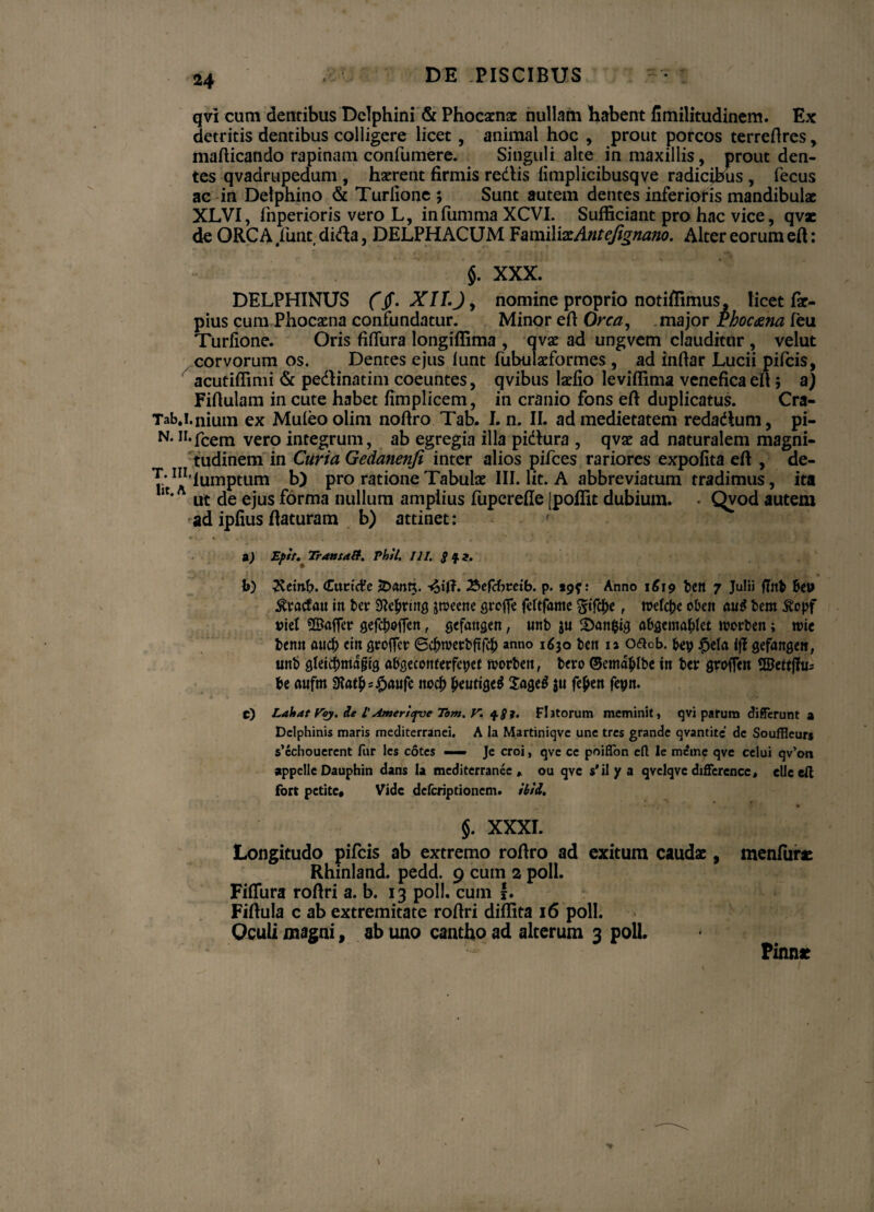 qvi cum dentibus Delphini & Phocamac nullam habent fimilitudinem. Ex detritis dentibus colligere licet, animal hoc , prout porcos terreftres, mafticando rapinam confumere. Singuli alte in maxillis, prout den¬ tes qvadrupedum , haerent firmis redis limplicibusqve radicibus , fecus ac in Delphino & Turlione ; Sunt autem dentes inferioris mandibulae XLVI, fnperioris vero L, infumma XCVI. Sufficiant pro hac vice, qvae de ORCA funt dida, DELPHACUM FamilixAntefignano. Alter eorum eft: $. XXX. DELPHINUS fjf. XII. nomine proprio notiffimus, licet far- pius cum Phocaena confundatur. Minor eft Orca, major Pkoc&na feu Turlione. Oris fifiura longiffima , qvae ad ungvem clauditur , velut corvorum os. Dentes ejus lunt fubulaeformes , ad infiar Lucii pileis, acutiffimi & pedinatim coeuntes, qvibus laelio leviffima veneficaelt; aj Fifiulam in cute habet fimplicem, in cranio fons eft duplicatus. Cra- Tab.i.nium ex Muleoolini noftro Tab. I. n. II. ad medietatem reda dium, pi- N- Ir‘fcem vero integrum, ab egregia illa pidiura , qvae ad naturalem magni¬ tudinem in Curia Gedanenji inter alios pifces rariores expolita eft , de- T/ ^'lumptum b) pro ratione Tabulae III. Iit. A abbreviatum tradimus, ita 1C*A ut de ejus forma nullum amplius fupcrefte [poffit dubium. . Qvod autem ad iplius ftaturam b) attinet: a) Epit. Trausdft. PhSl. III. l>) 2£einL CurtcHe JDanU. ifi. 2$ef<foveib. p. *9f: Anno 1619 bett 7 Julii flitb fttV Sfracfau in bev jroeene grofie fdtfame gijtye , rodere oben nu£ bcm $cpf viel «Bafier gefc|)©fTen, aefangen, unb ju SMnfcis abQmafyUt rcorben; wic benn au# cin flroffer Ochwerbftfch anno 1630 ben ia o&cb. fcep #ela ifl gefatigett, tinb glei#mdjjig abgeconterfepet ttorbett, beto ©ema&lbe in ber groflen SBJettfhis U mifm 9?a#s£aufe itodb jtfutige$ $u f#en fcyn. c) Lahdt roy. de l’Amertepoe Tom. V. $£?. Fhtorum meminit» qvi parum differunt a Delphinis maris mediterranei. A la Martiniqve une tres grande qvantite de Souffieurs s’echouerent fur les cotes — Je croi, qve ce poiflon eft le ratme qve celui qv’on appelle Dauphin dans Ia mediterranee» ou qve $'ilya qvclqve diffcrcncc, cllc eft fort petite* Vide deferiptionem. tbii. §. XXXI. Longitudo pifeis ab extremo roftro ad exitum caudae, menfur* Rhinland. pedd. 9 cum 2 poli. Fiflura roftri a. b. 13 poli, cum |. Fiftula c ab extremitate roftri diffita 16 poli. Oculi magni, ab uno cantho ad alterum 3 poli. Pinnae