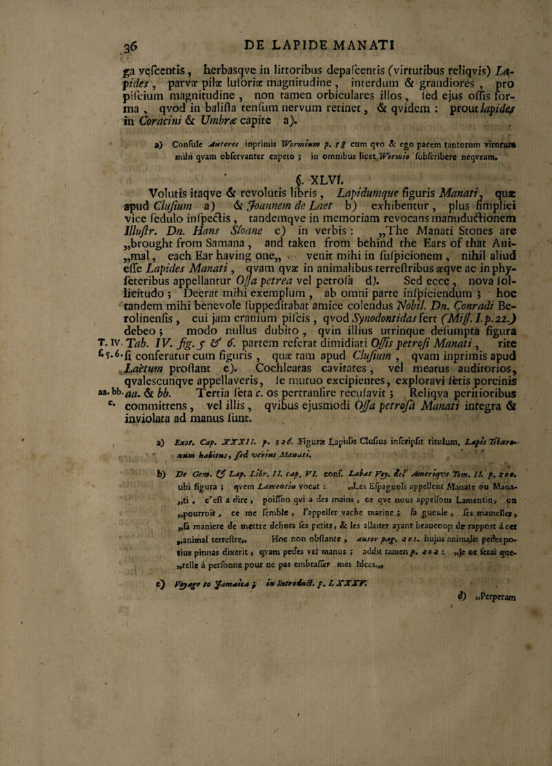 I 36 DE LAPIDE MANATI ga vefcentis, herbasqve in littoribus depa Icentis (virtutibus reliqvis) La- fides , parvx pilae lulbriae magnirudine , interdum & grandiores , pro pifcium magnitudine , non tamen orbiculares illos, led ejus offis for¬ ma , qvod in balifta tenfum nervum retinet, & qvidem : prou tlapidej in Coracini & Umbra capite a). , * ' . . ■ ) _ y V f a) Confule Antores inprimis TVormium p. F $ cum qvo & ego pacem tantorum virorum mihi qvam obferyanter expeto ; in omnibus licet Wormio fubfcribere neqveam. §. XLvr. Volutis itaqve & revolutis libris , Lapidumque figuris Manati, qux apud Chifium a) <Si ffoannem de Laet b) exhibentur, plus fimpliei vice fedulo infpeclis , tandemqve in memoriam revocans manuduftionem llluftr. Dn. Hans Sloane c) in verbis : ,,The Manati Stones are „brought frotn Samana , and taken from behind the Ears of that Ani- „mat, each Ear having one„ . venit mihi in fufpicionem , nihil aliud effe Lapides Manati , qvam qvae in animalibus terreftribus xqve ac in phy- feteribus appellantur Oj]a petrea vel petrofa d). Sed ecce , nova iol- lieitudo ; Deerat mihi exemplum , ab omni parte inipiciendum ; hoc tandem mihi benevole liippeditabat amice colendus Nobil. Dn. Conradi Be- rolinenfis , cui jam cranium pifcis , qvod Synodontidas fert (Miff. l.p.22.) debeo ; modo nullus dubito , qvin illius utrinque delumpta figura T. iv. Tab. IV. fg.J & 6- partem referat dimidiati Offis petroji Manati , rite f,?‘6*fi conferatur cum figuris , qux tam apud Clujium , qvam inprimis apud Laetum profiant e). Cochleatas cavitates, vel meatus auditorios, qvalescunqve appellaveris, ie mutuo excipientes, exploravi letis porcinis aa*fcb-aa* & bb. Tertia feta c. os pertranfire recufavit > Reliqva peritioribus Ct committens , vel illis , qvibus ejusmodi Offa petroja Manati integra & inviolata ad manus lunt. a) Exot. Cap. XXXI1. f. 3 a e. Figurx Lapidis Clufius infcripfit titulum. Lapis Tibur* num habitus i fed verius Manati. * % b) De Gem. & Lap. Ltbr. II. cap. VI. COnf. Labat Vey. ttef Ameriqve Tom. II. p, zoa, ubi figura ; qvem Lamenti» vocat t >,Les Elpagnofe appellent Manate ou Mana¬ ri > eyefi a dire , poilTon qvi a des mains , ee qve nous appelions Lamentin* 013 „pourroit, ce me fembie , Fappelfer vache marine f fa gucule , /es mametles, „{a maniere de mettre dehors fts petits, & les allaiter ayant beaueoup derapport acet ^animal terrefire» Hoc non obftanfe > autor pag. 10 k hujus animal» pedes po¬ tius pinnas dixerit, qvam pedes vel manus ; addit tamen/», zot : „jc ne fcrai que- »rellc a perfonne pour ne pas embrafler mes tdees.w c) Foyage to jfamaiea } i»Introiud. p* L XXXV. , i) »Perperam 1