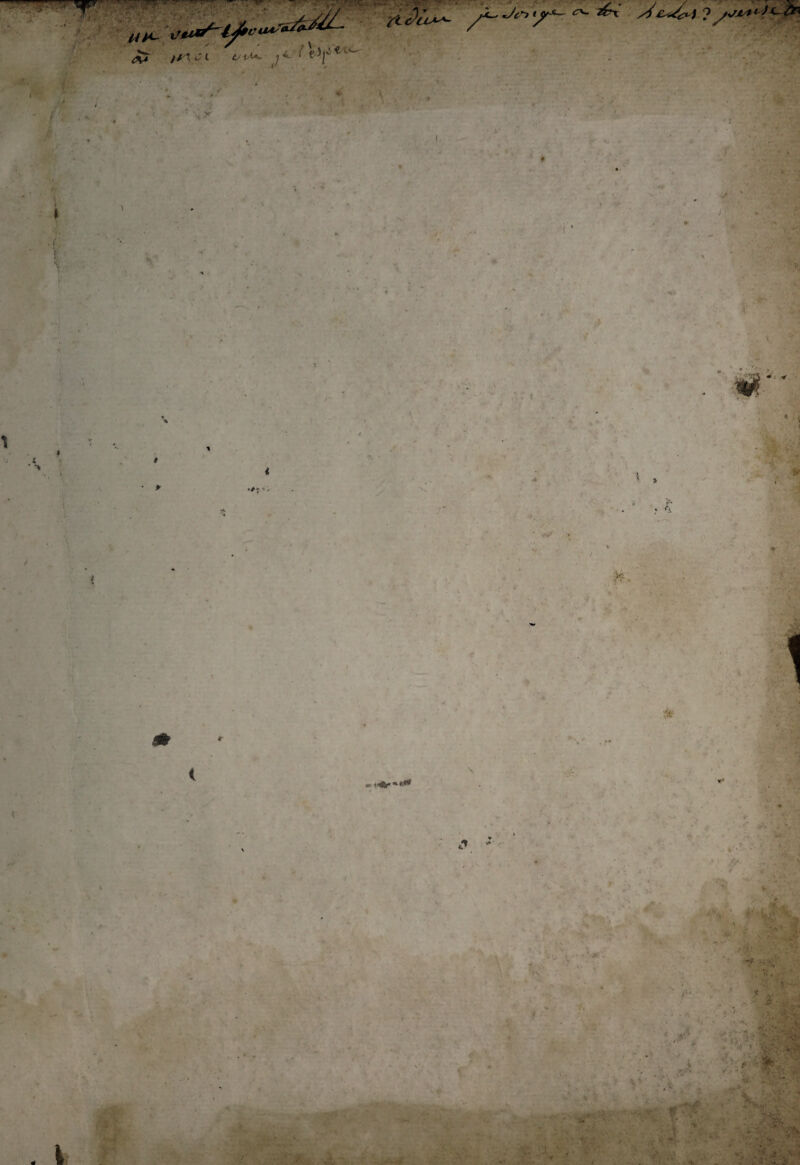 riX 4 ' *■ t .vV t&-*~ «rv. z£^i ? ;y/JL4^)*- Cn n. te ■ ,\ ''L ■n ■■ ■ ~ _ . •'ii • ■ ■*■ •:i t „«4: ?' ktr 'V • *' w£-> ' - v -.' '•<. . 1 «;•*. . . • . '• ' • .■ $':• ' .' 'v. :: r,F« , i ’VY • .