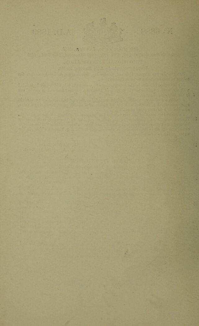 digitised image 2