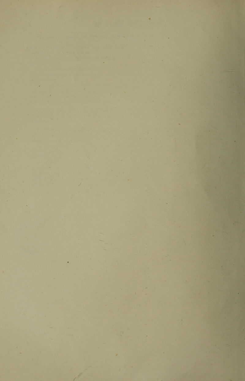 ^ ' /rV *• ^ • . it*. ••5 £ ' j 1 ^ * .r ..^t JL..:-. « t7' •*. '■■> • 4 # .-**• M -** ^ -- ■ a ^1 4 a ^ * f- '|V »-•»• «i m . rr' • ■«^V r^'f' » ^ * ^ ' -:, ^ »■• • ■.' c:*' -a. C ►'t *.../ V S- ’ . - « LT ■»', •* ■ ^T' ‘* A' -■■**-•« J. a -; * ', • I ' • i*- fS'* *s •* 'V.- ■ ■ ’.- -' ' ■' W ■•A# ■ '• :’'-v  ■■ r“^-“ *- .. ' ■' j ' ■ “y^- -- ij -.i-.Ji ■*■ 5s^ » • m- ■’i * • r'jI'V : >Lr ■^r»i^ as: >S », • /