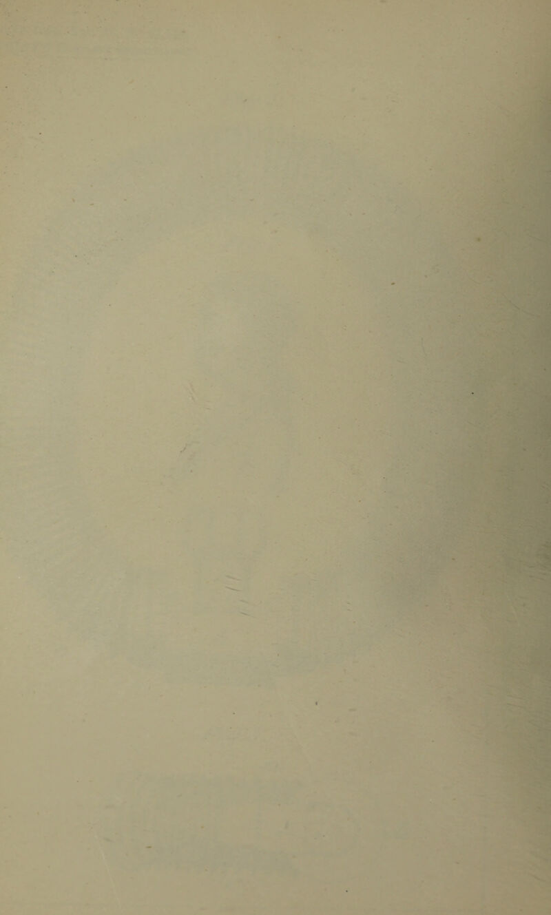 \|tw4 . - v*| ?■' r ' ^ •* > \ % . i/ * > V * ' *-. • ' ' w^:>:3 ...*•# * ■* -I