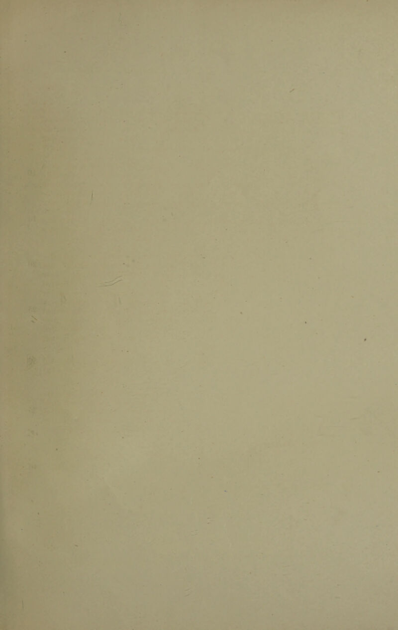 ?• % • ^ s *“ * - :. ^.''‘Tv vi V ' V r ' r. • -m * : r •♦V ' - ^ •. 5 • t. ,, t. sTf^.^^., 1^::' &. ■?/^ (&.r’. ■ *•■*'* ' ■ i- -a I ^ n •* !< ,^ > % * » t «►' ■ iw '« A n#'. ' * ■ V - ' ■ < '■A c> ** ' . 1 .' * . j--'^ *' '■ -' .. ♦• <,• ■r ' - ■» . Jv . -t* . ,1% is?Tv”; ♦V w' 5af'v' u '1>_ ■ Hi], * -. • .4 '1 .< •Kii .'■ •V il*! f. >,! i’. P' ’I. -’ - ^ •*- i I' i» »» I- r r ■■ « r ■* r* ^ # •4r t n . .' vv. '-* *' ’:' ■ ...•■* < .'^. ‘ L'' «t.' •' * V* ■, ^ ,T, -‘ . x:> . 4* V ■ ;* T fA • i' Zisvr: i ^ ZiT,. 1-. »-' r • ^ •• t'ZM i ♦ a ^ I .