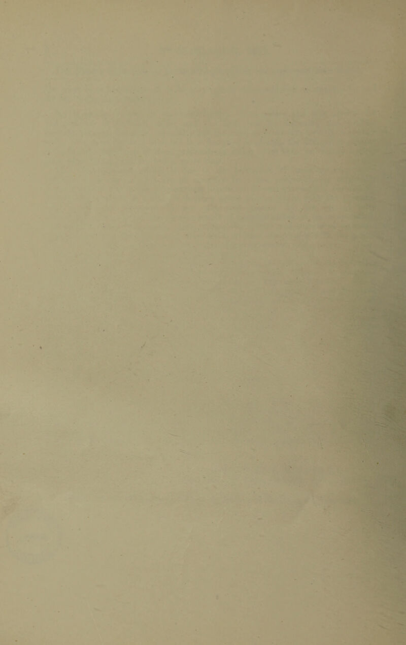 f f I \ I 4 > • , •■ T ^ i V • ^ o--* *4 \ y\ ’ 'A # • A . .. « • t « * rl ) ( fi A f 4 < « ■ 1 4 t I • f! ' i -f ' ■0 ■*i «