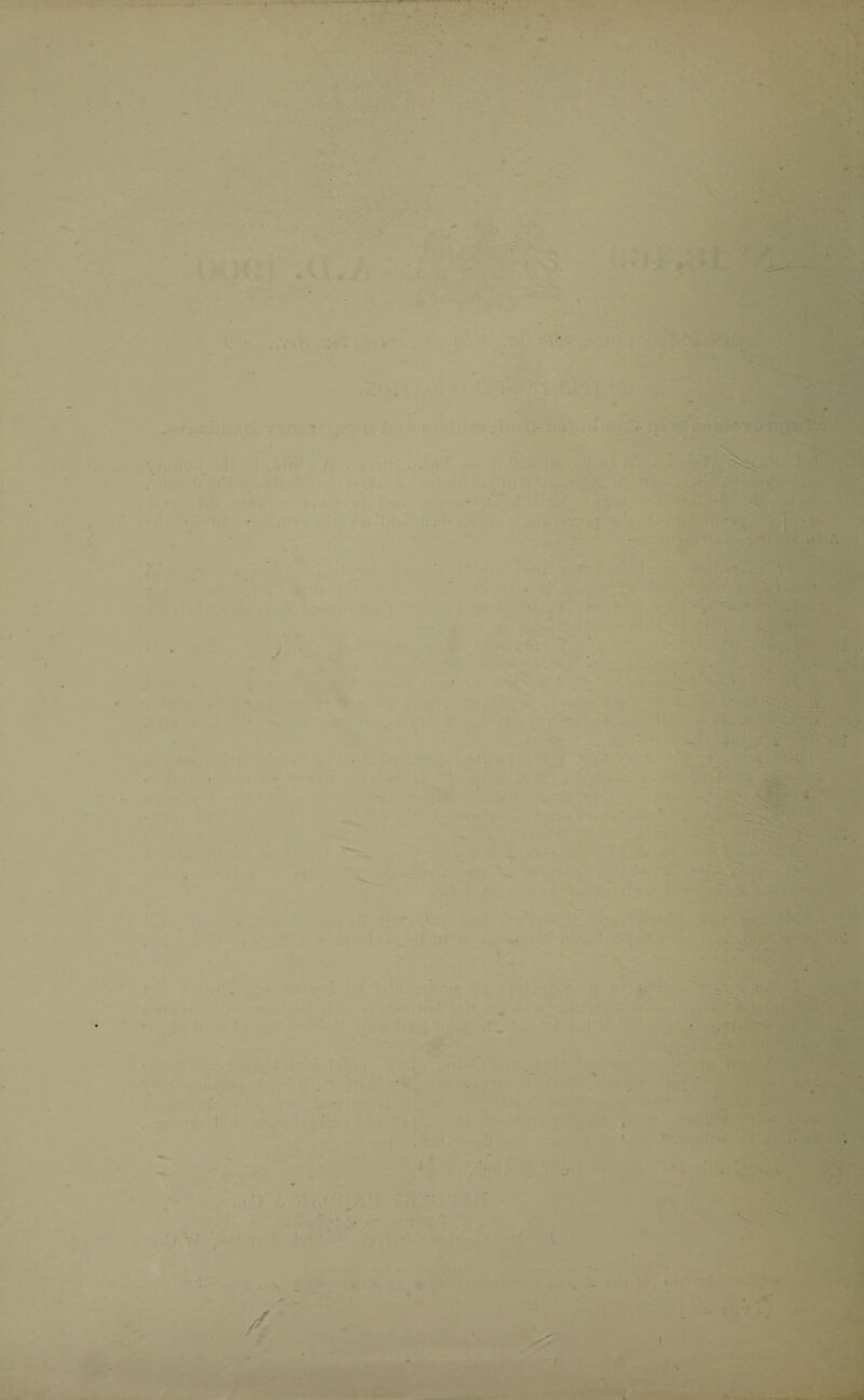 * ■ • a Hi *J Li * . . y