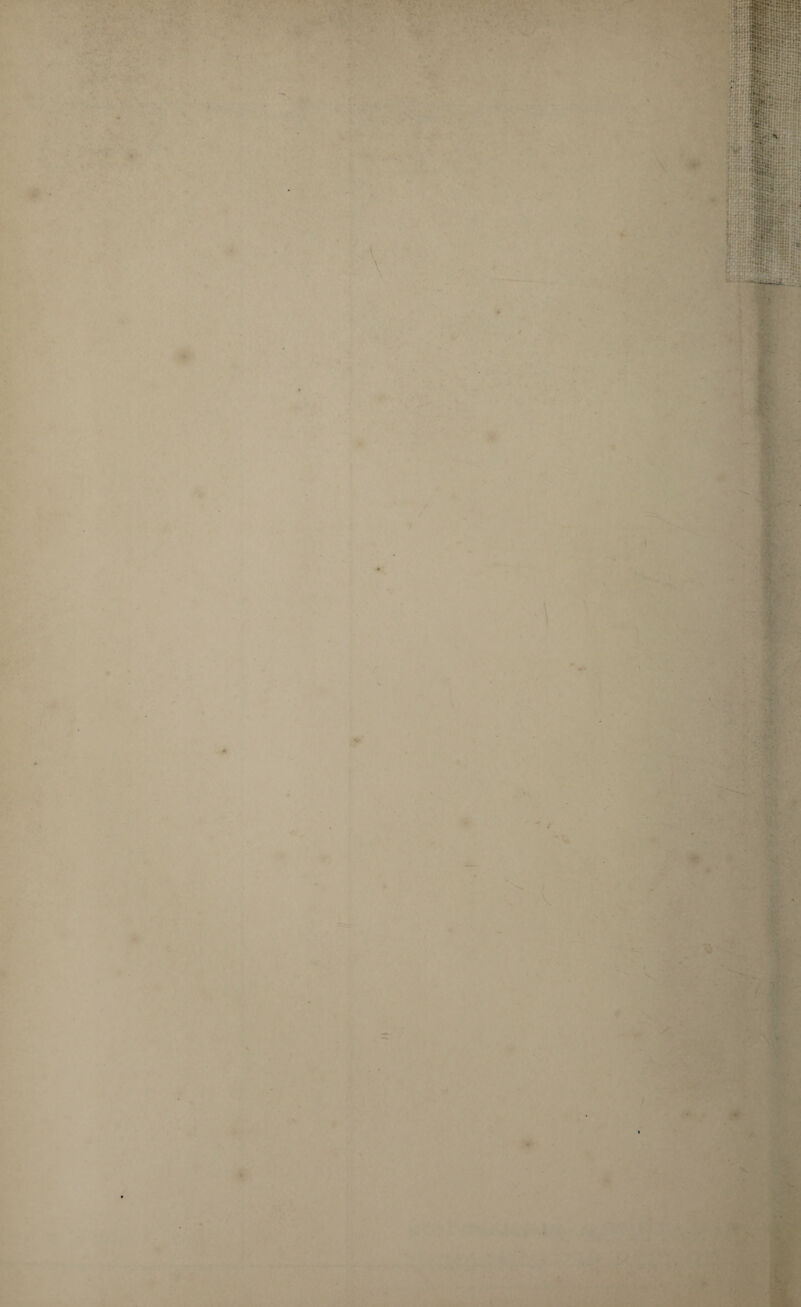 WW§ ... Tlji-lli if*; ■ ifef f!:; iPiiii v: