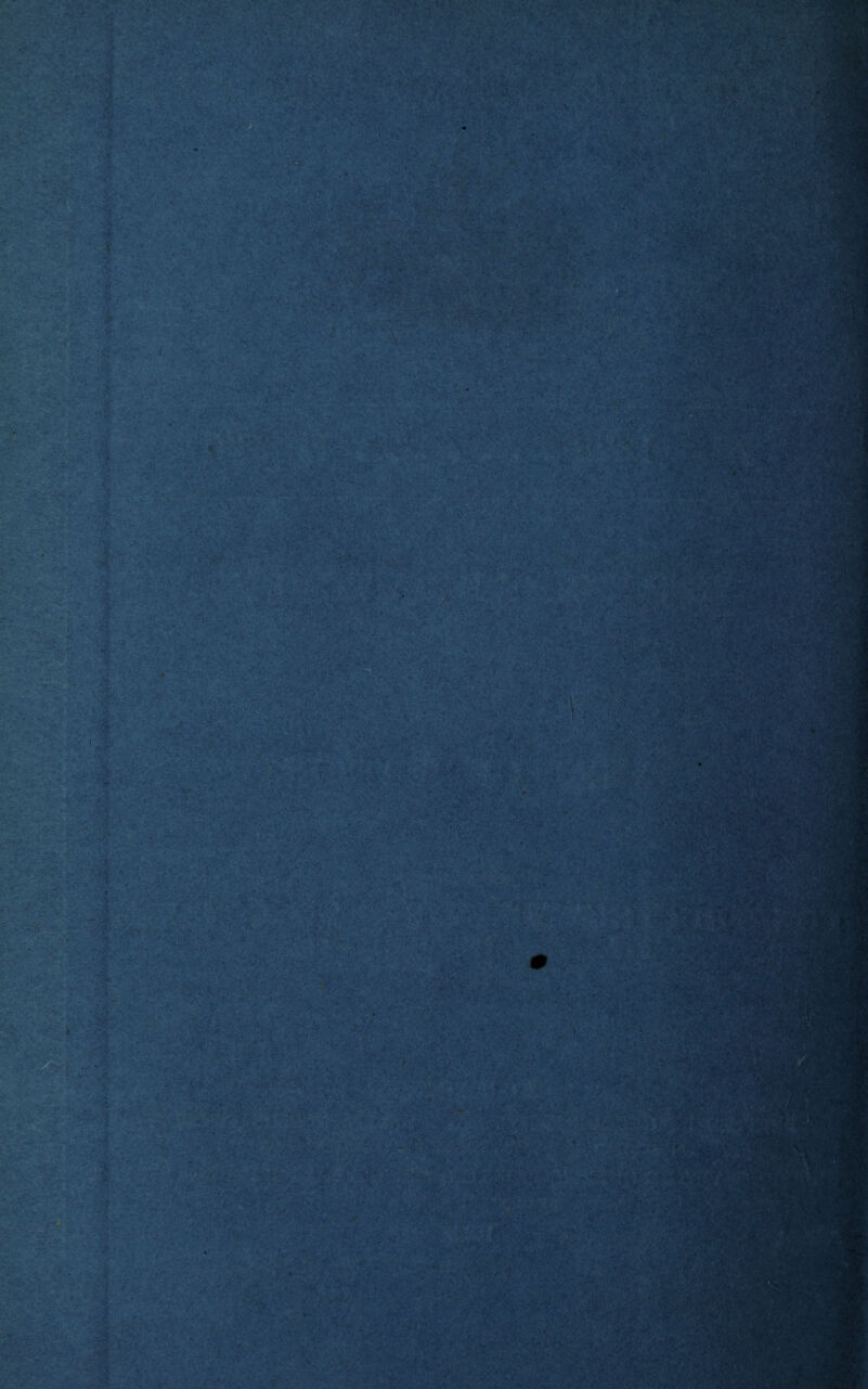 \ V - ^ ' ■-■X i I \ < 'i > '1 I rf, v’ f, «•