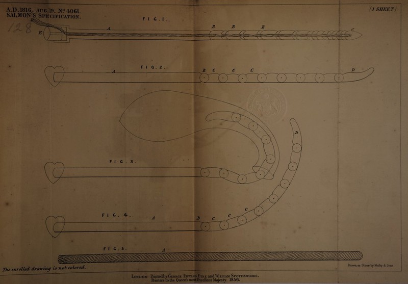 (l SHEET) A. D. 1816. Aug.19. N? 4061. SALM ON S Sue ciuiCATioK. , , j Drawn, an Stone by Malby & Sons Ilu enrolled, drawisuf ts rvot cowrm . ________:_ London: PrintedbyGeorge EdwahI Eyre a»dWilliam Spottismtoodk, Printers to the Queen’s most Excellent Majesty. 1856.