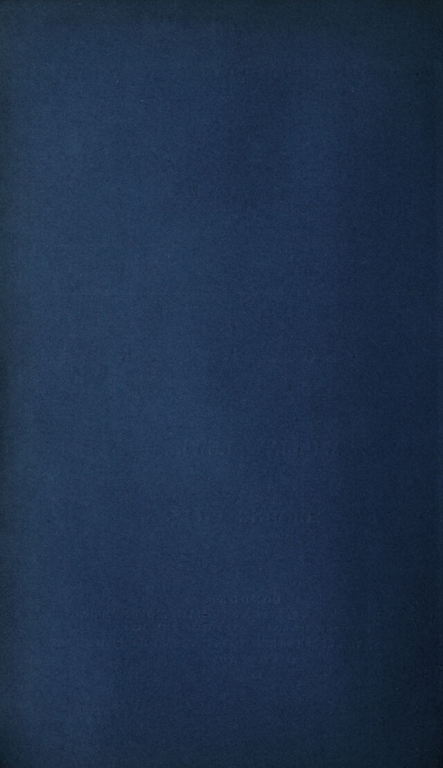 digitised image 2