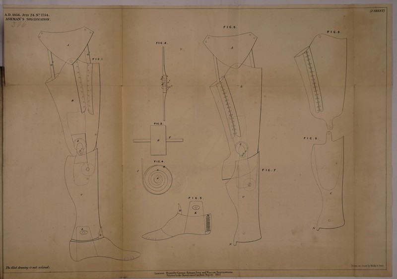 (1 SHEET) A.D. 1856. Jura 24. N? 1754. ASHMAN’S Specification 9 ’ TTie filed drawing is net/ celcreds. Fl C.8 _ Drawn on Stone ijy Malby & Sons London: Printed bv George Edward Eyre and Willi am^Spottiswoode . Printers t o the Queen's most 1:xeellent Majesty. lo5 /•