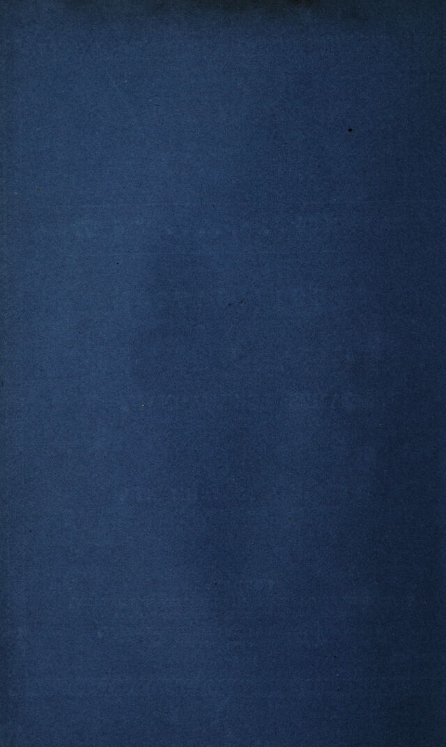 digitised image 2