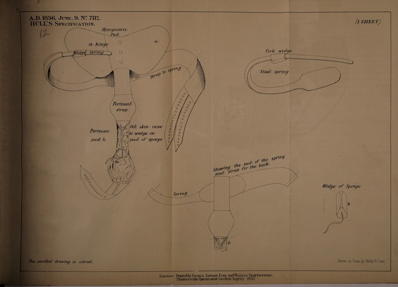 HULL'S Specification. I Th^y enrvUtdy (trcavm^ 7> coloned'. (i sheetJ (jjrUy 'S>^^strav ^5 Spring (?f Spm^e^ Dra.m on Stone ^IV&Iby & Soils. Lon don . Rintcd by George Edward Lwe cUidWiLLiAM Spottinwoode , PrinlersLo tlie Queoiis most I.xecJlcul iMiijosly. 1857.