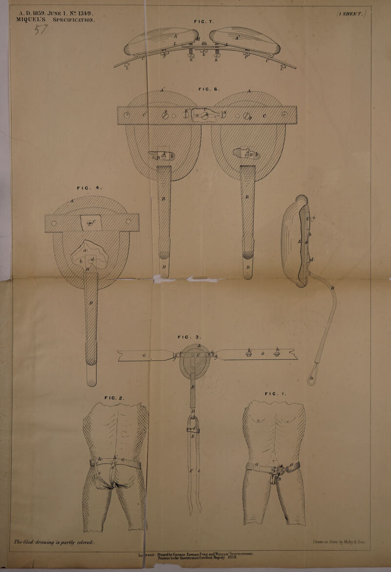 / SHEE T. A. T). 1859. June 1. N? 134<9 . MIQUEL’S Spec i e ic at ion . I FIG. 7. Lo Indon : Printed by George Edward Kyre andWiixiAM Spottiswoode . Printers to the Queen's most Excellent Majesty. 1<S.> 9. Drawn on Slone by Malby & Sons. — Thi/ rde/Ls drawing is partly colored'.