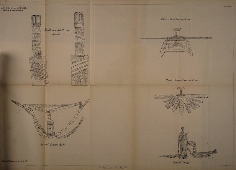 A.D.1863. Aug. 18.N?2045. ARTHUR'S Specification. / SHEET Scrotal Hernias Splint Th*s filed; drawing is not coloreds. Tiu'ce sided Uterine Grasp. Hand shaped Uterine Grasp. i i London. Printed by George Edward Jstiib and William Si’Ottiswoodb, Printers to the Queens most Excellent Majesty i8 64* Drawn or\ Stone by Malby & Sons. \y