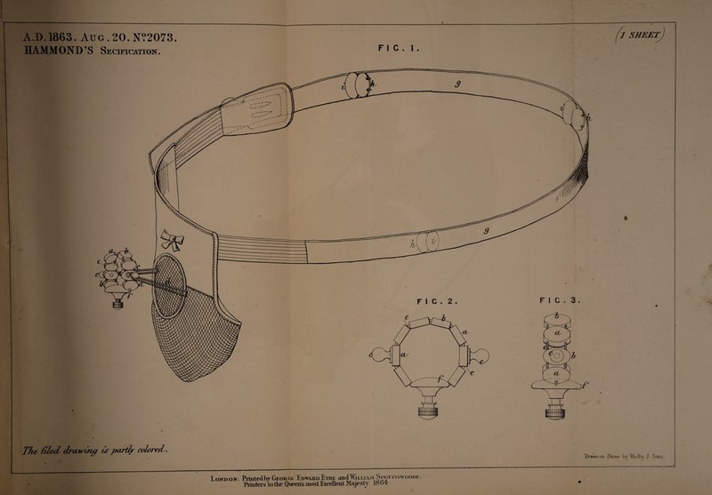 The Tied drawmq Is partly coloreds. Drawn on Stone by Malby S: Sons. A.D.1863. Aug . 20. N?2073. ft sheet) HAMMOND’S SEciFrcjmoir. F I c . 1. London. Pnntedbj George Edward Eyre and William Spotiiswoode, Printers to the Queen's most Excellent Majesty lb od