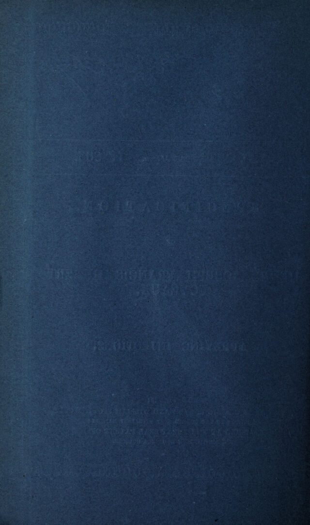digitised image 2