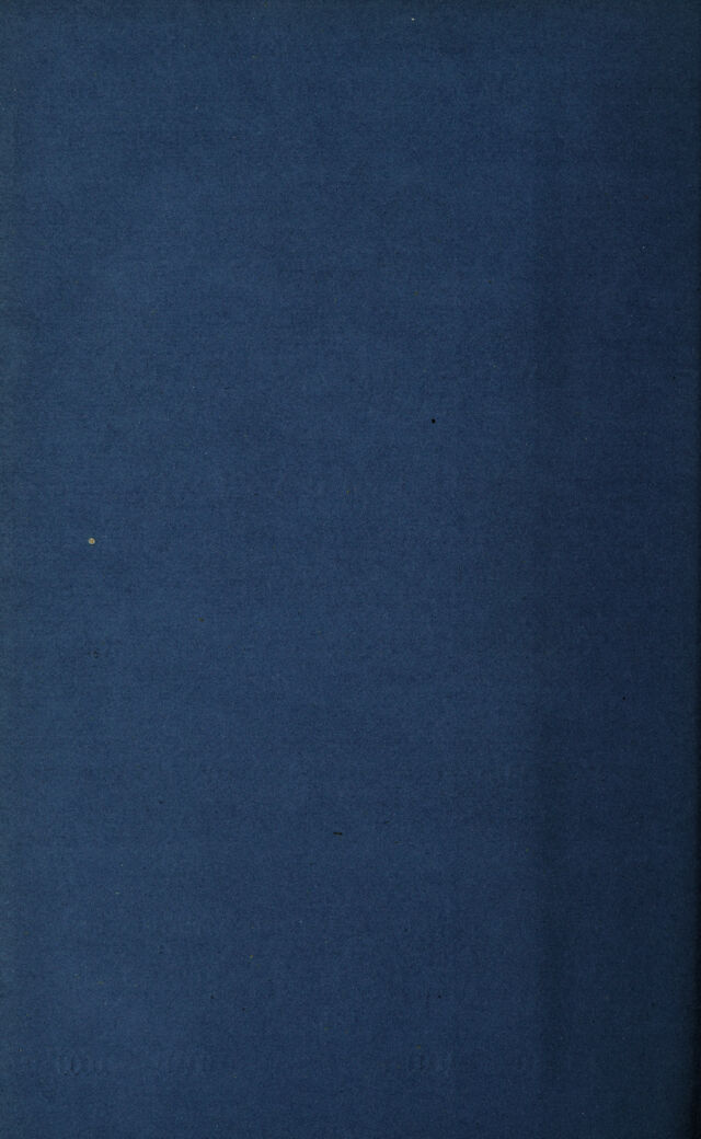 digitised image 2