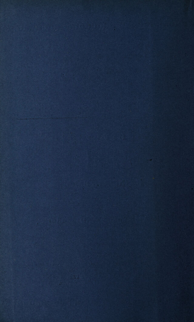 digitised image 2