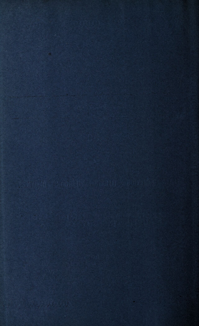 digitised image 2
